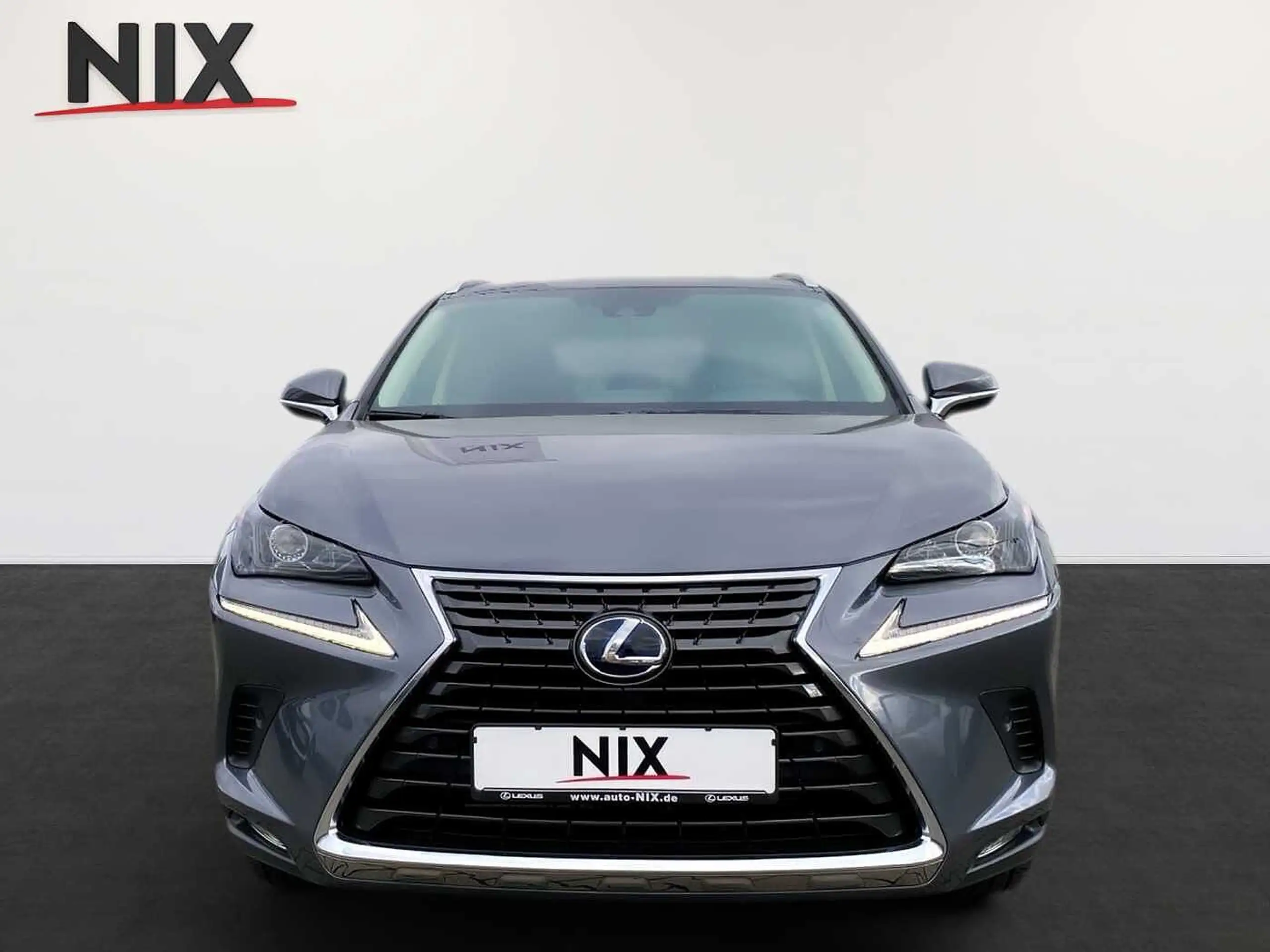 Lexus - NX 300h