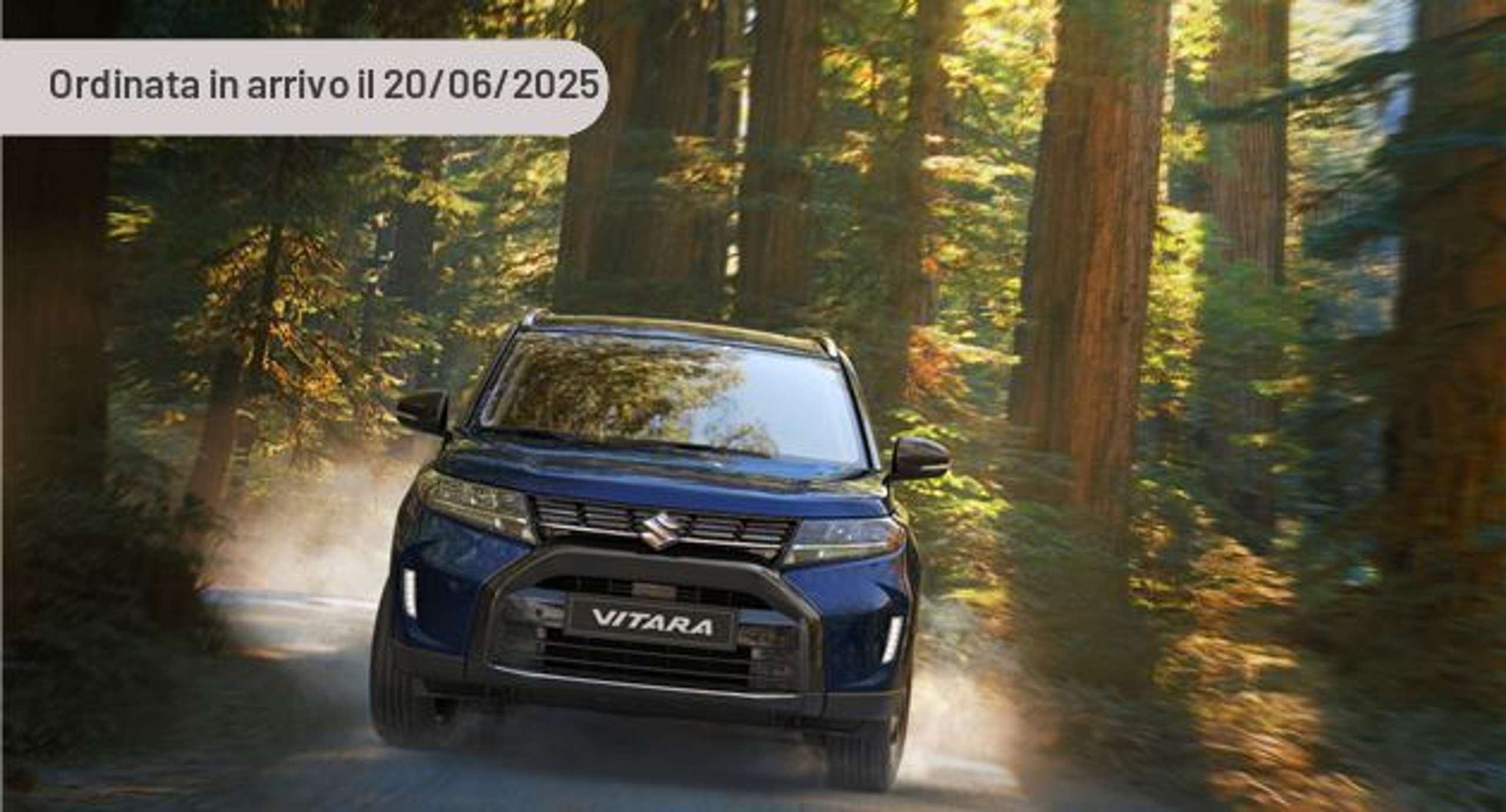 Suzuki - Vitara