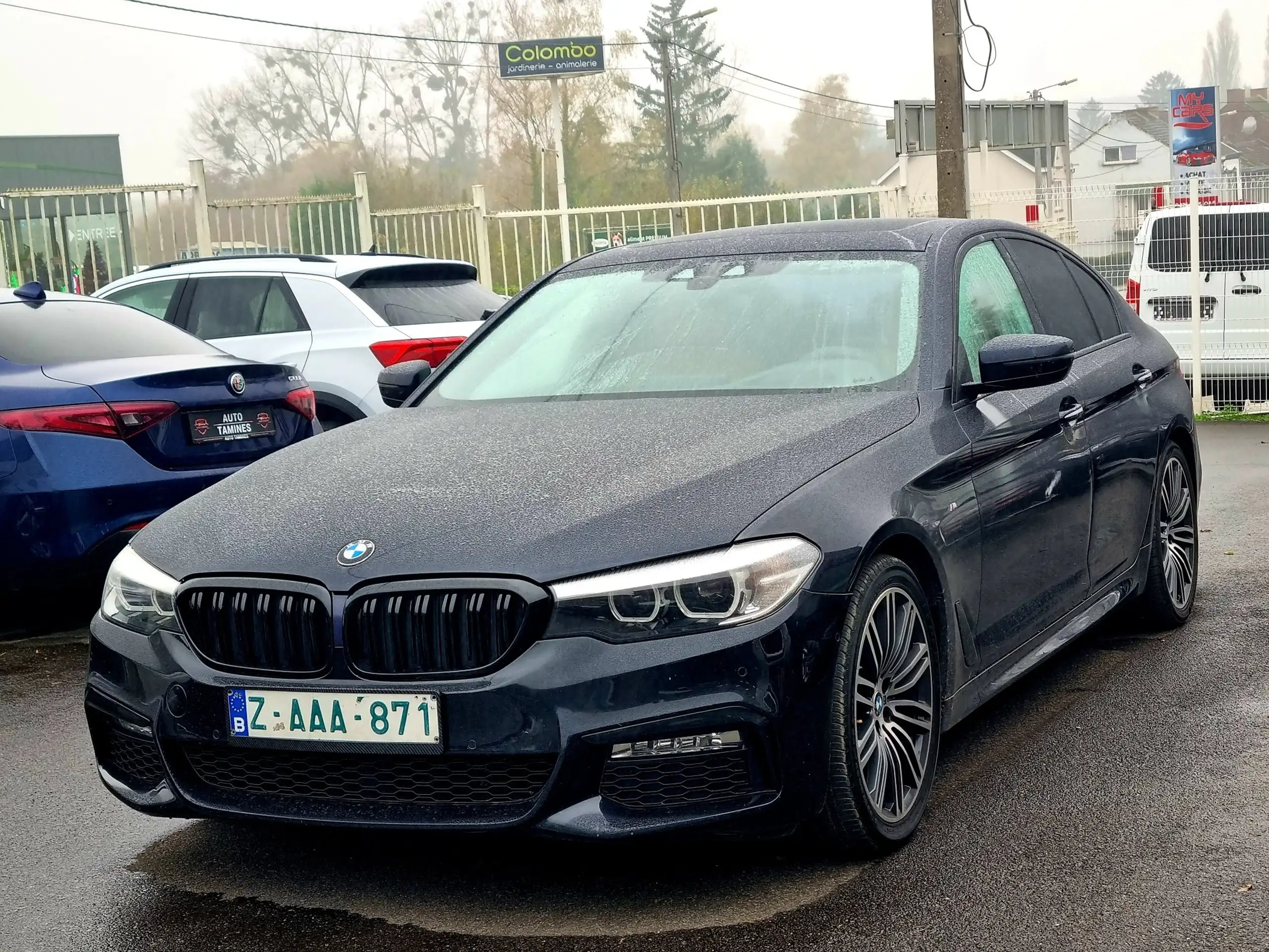 BMW 520 2019