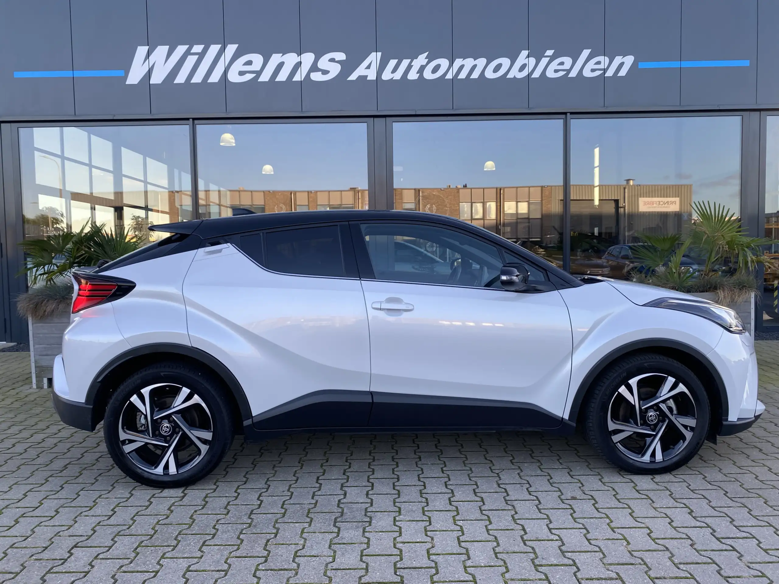 Toyota - C-HR