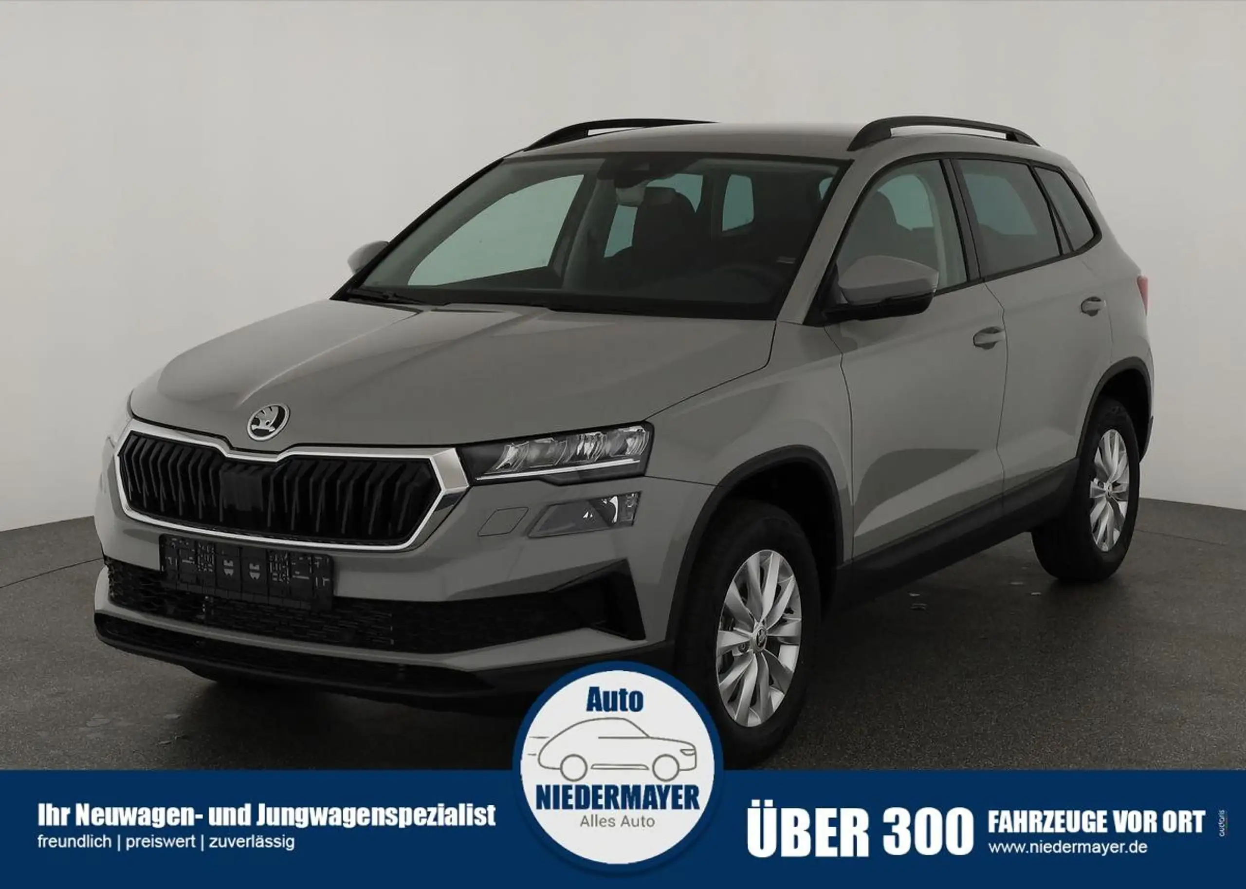 Skoda - Karoq