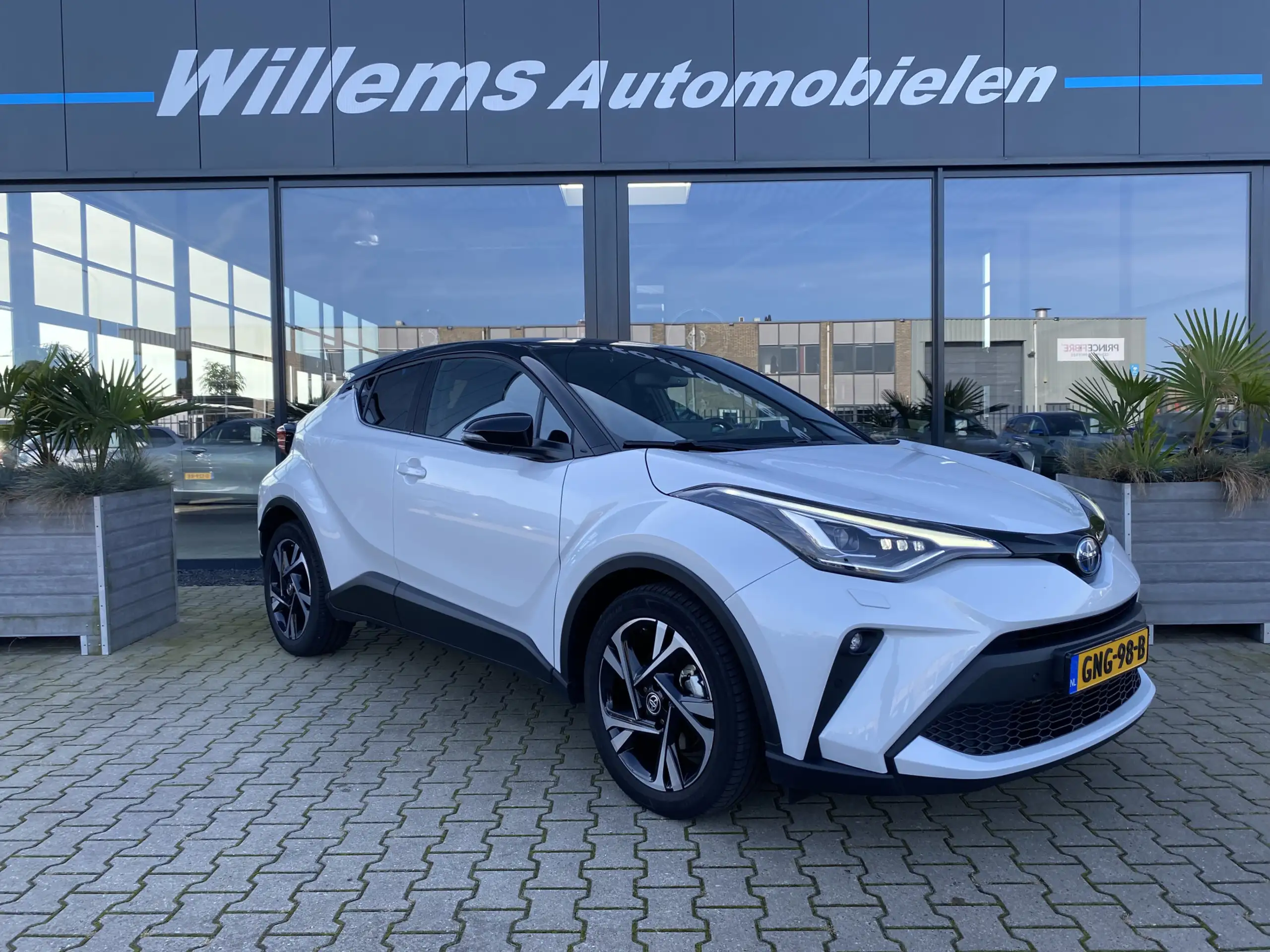 Toyota - C-HR