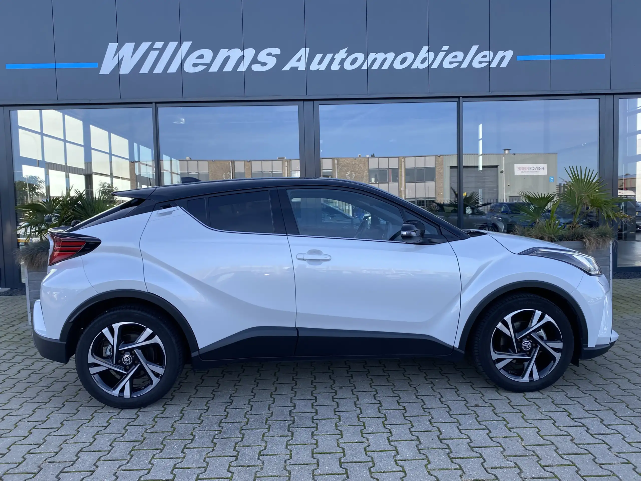 Toyota - C-HR