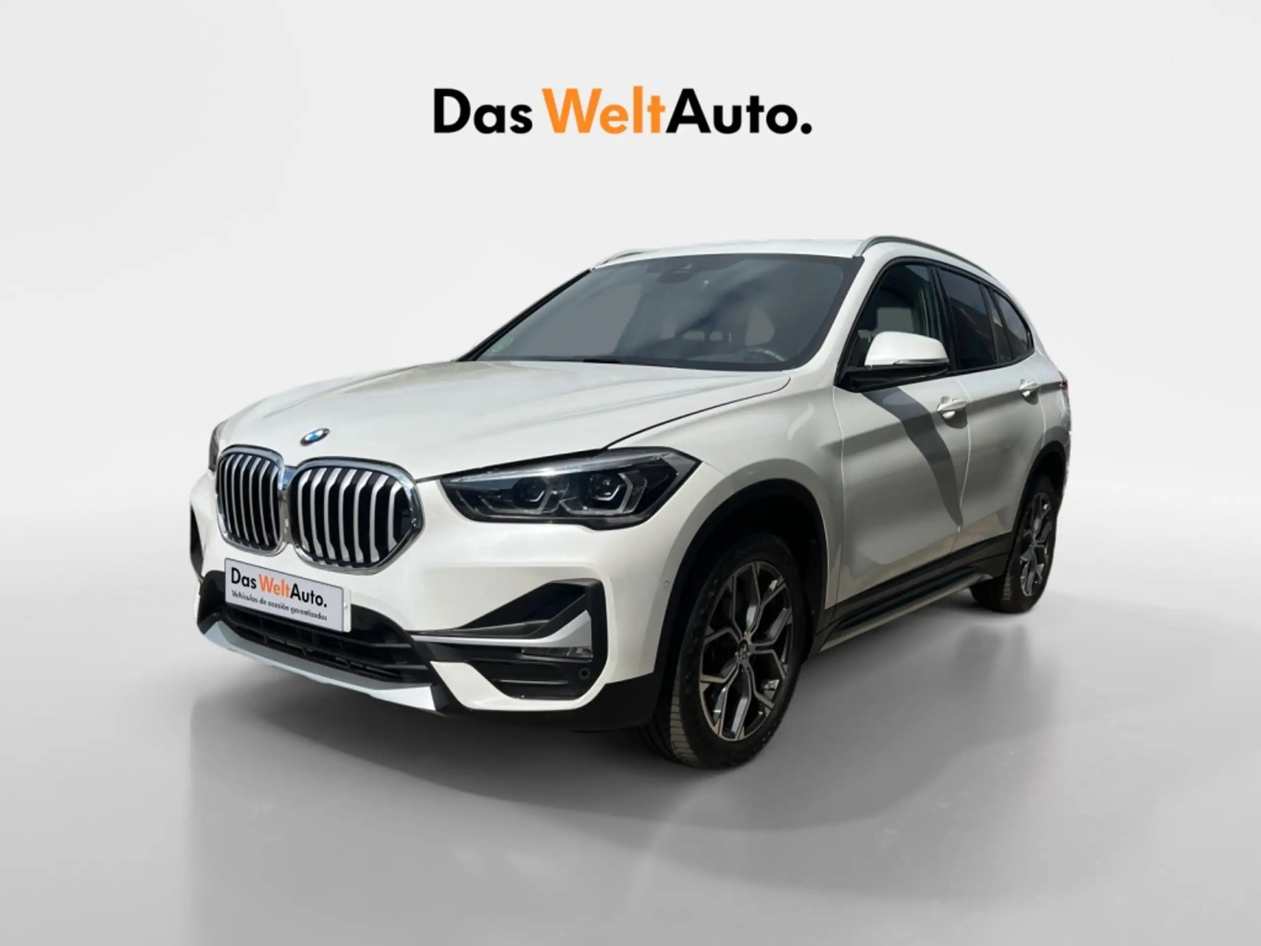 BMW - X1