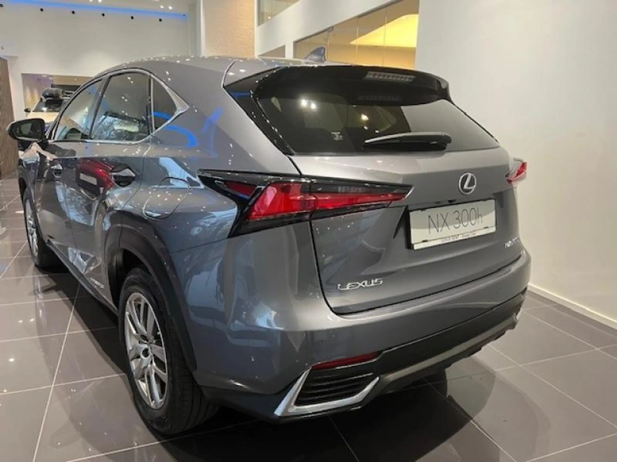 Lexus - NX 300h