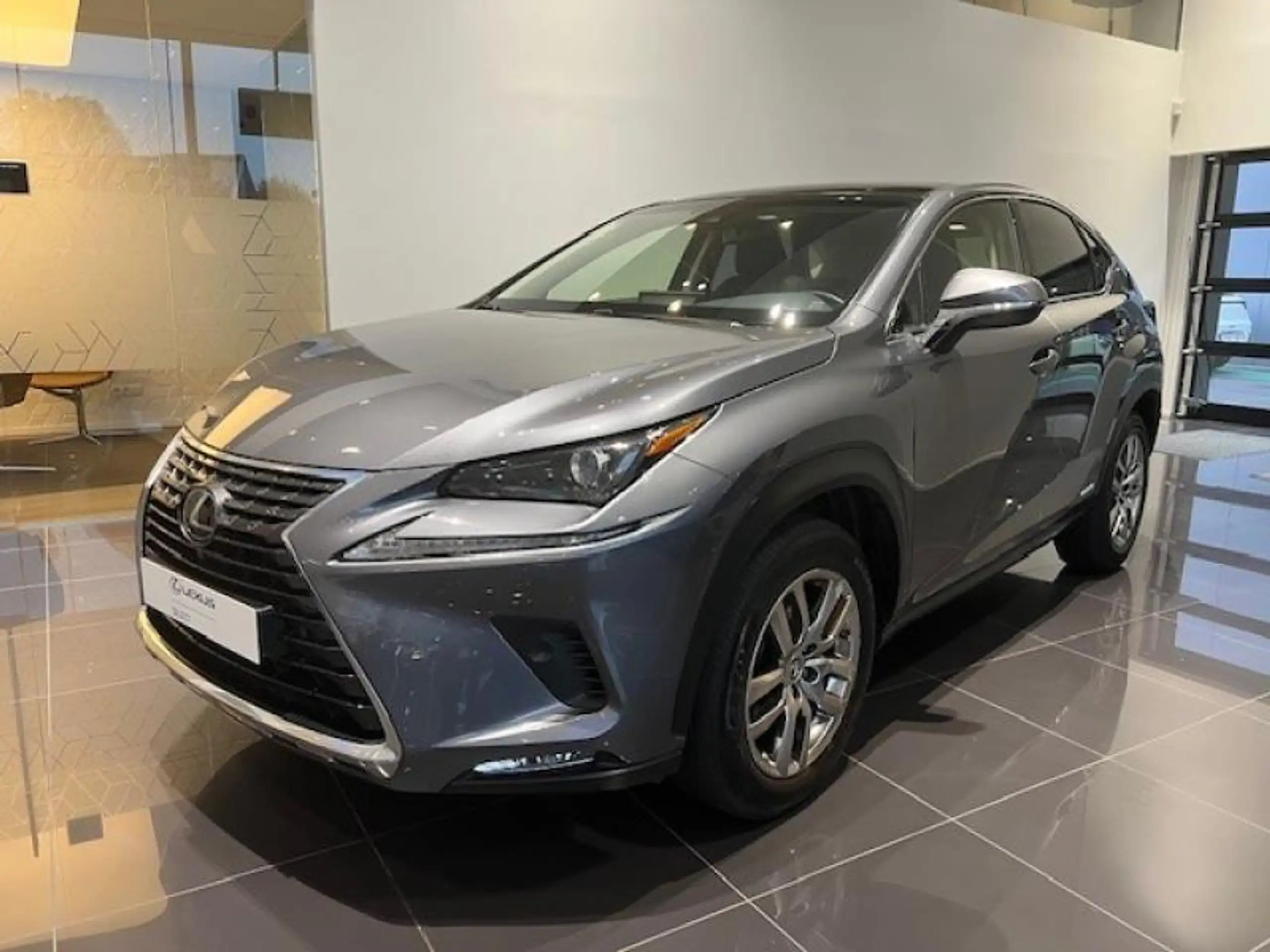 Lexus - NX 300h