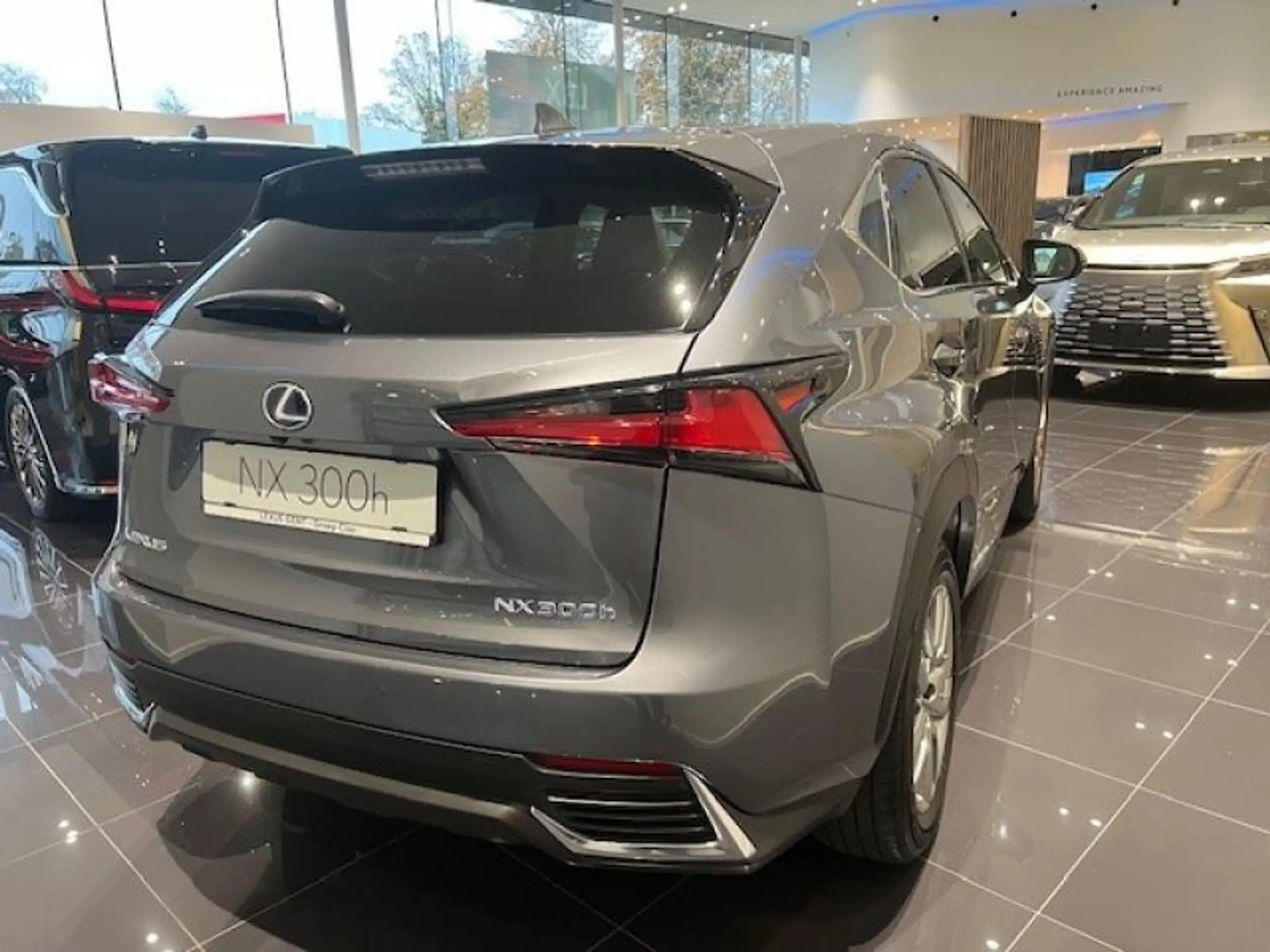 Lexus - NX 300h