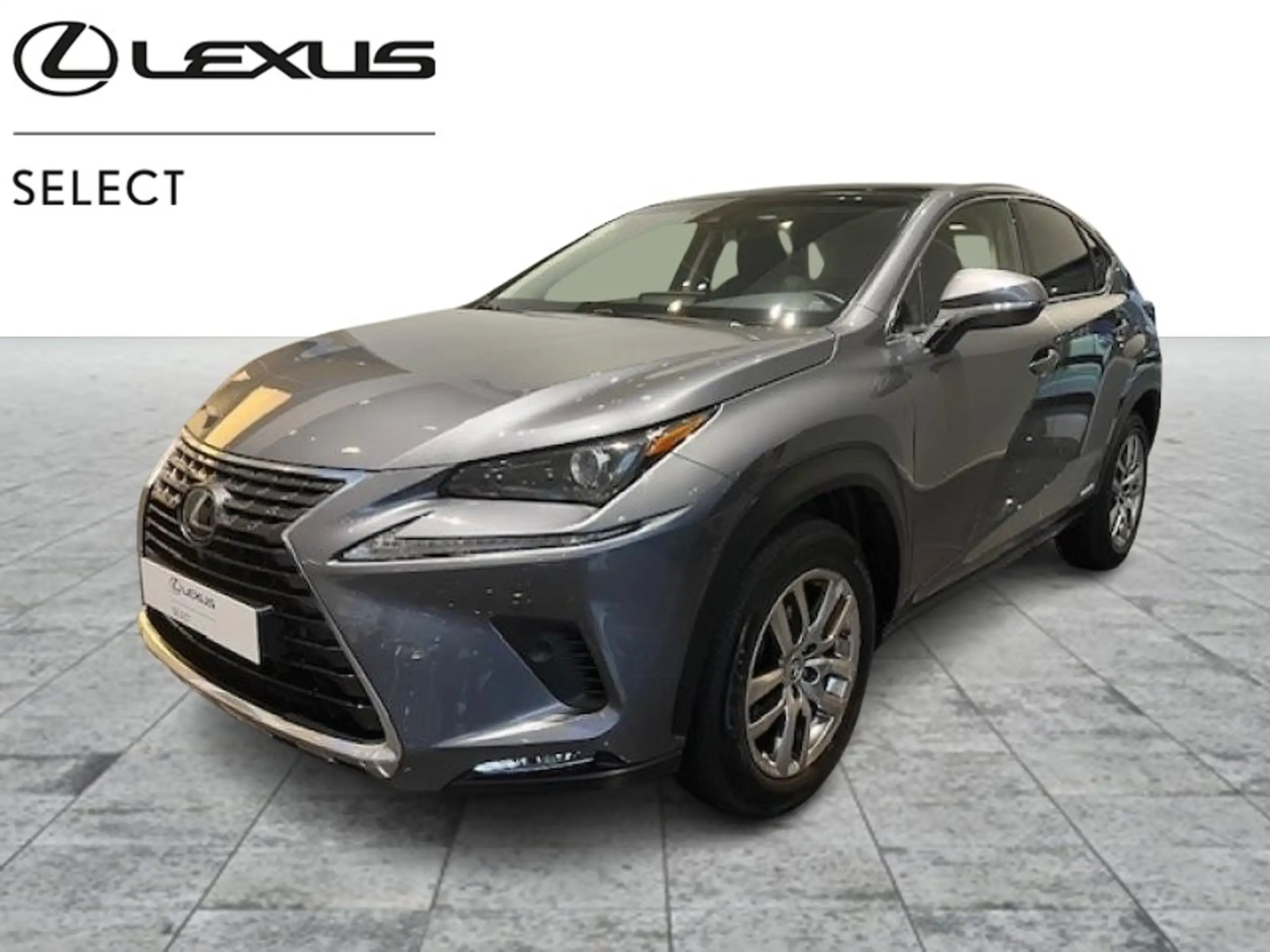 Lexus - NX 300h