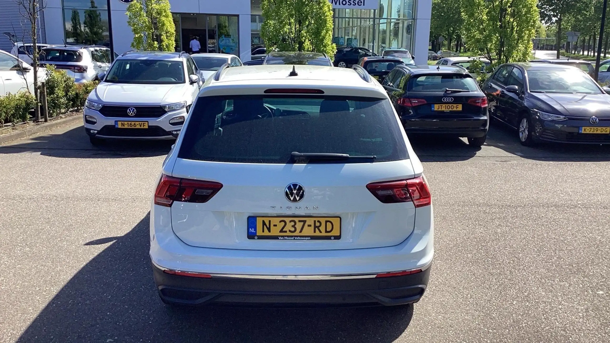 Volkswagen - Tiguan