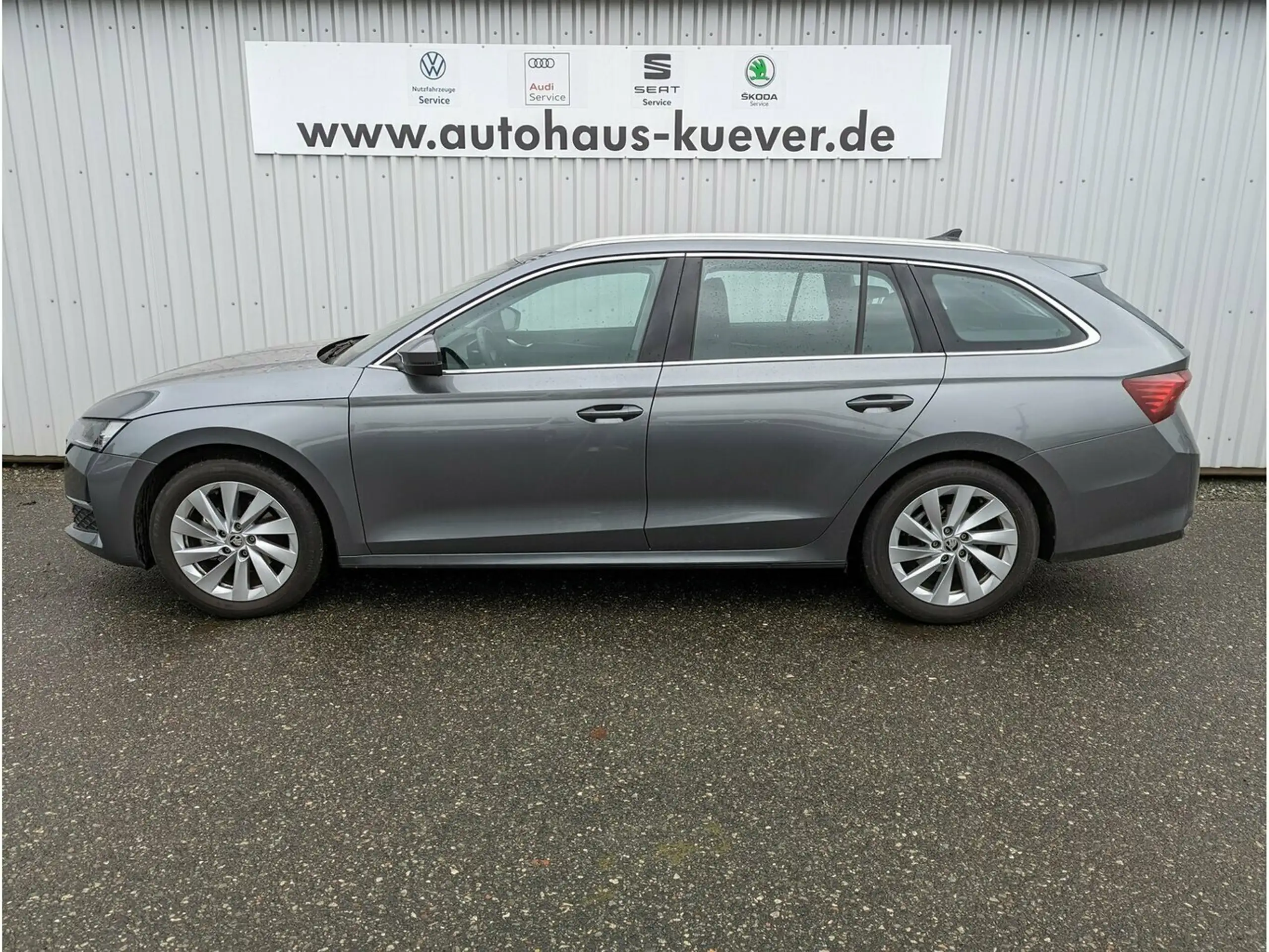 Skoda - Octavia