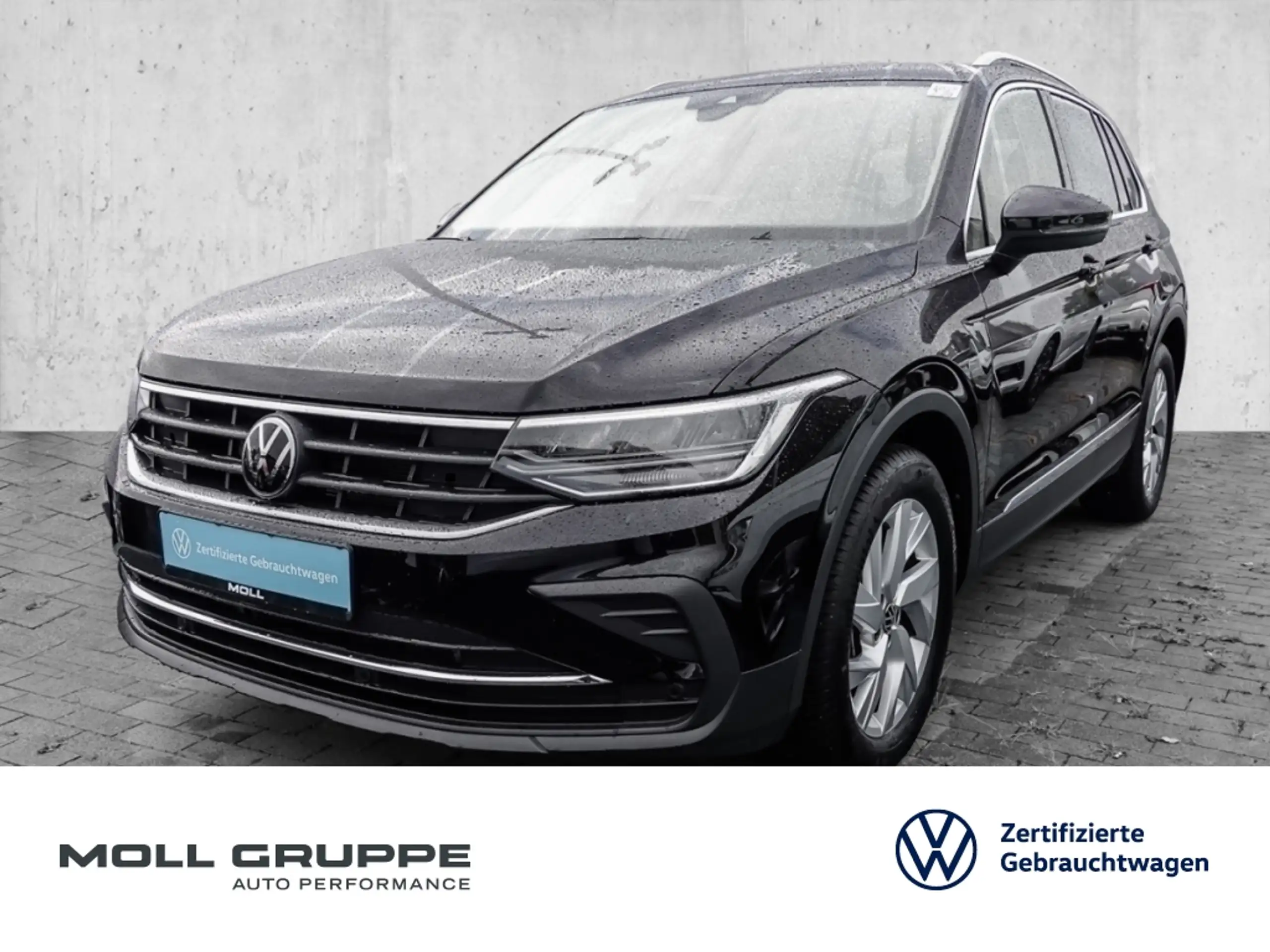 Volkswagen - Tiguan