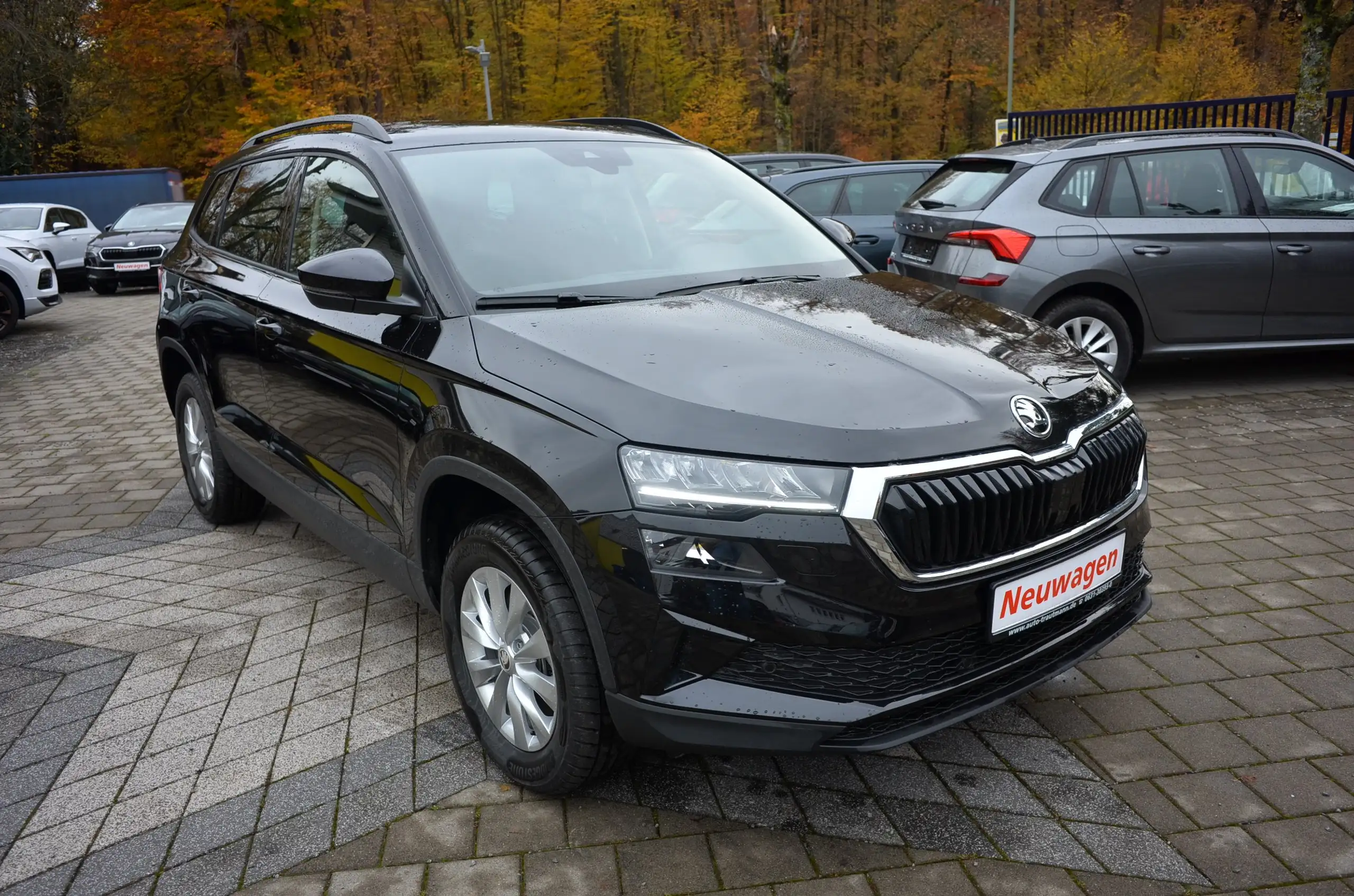 Skoda - Karoq