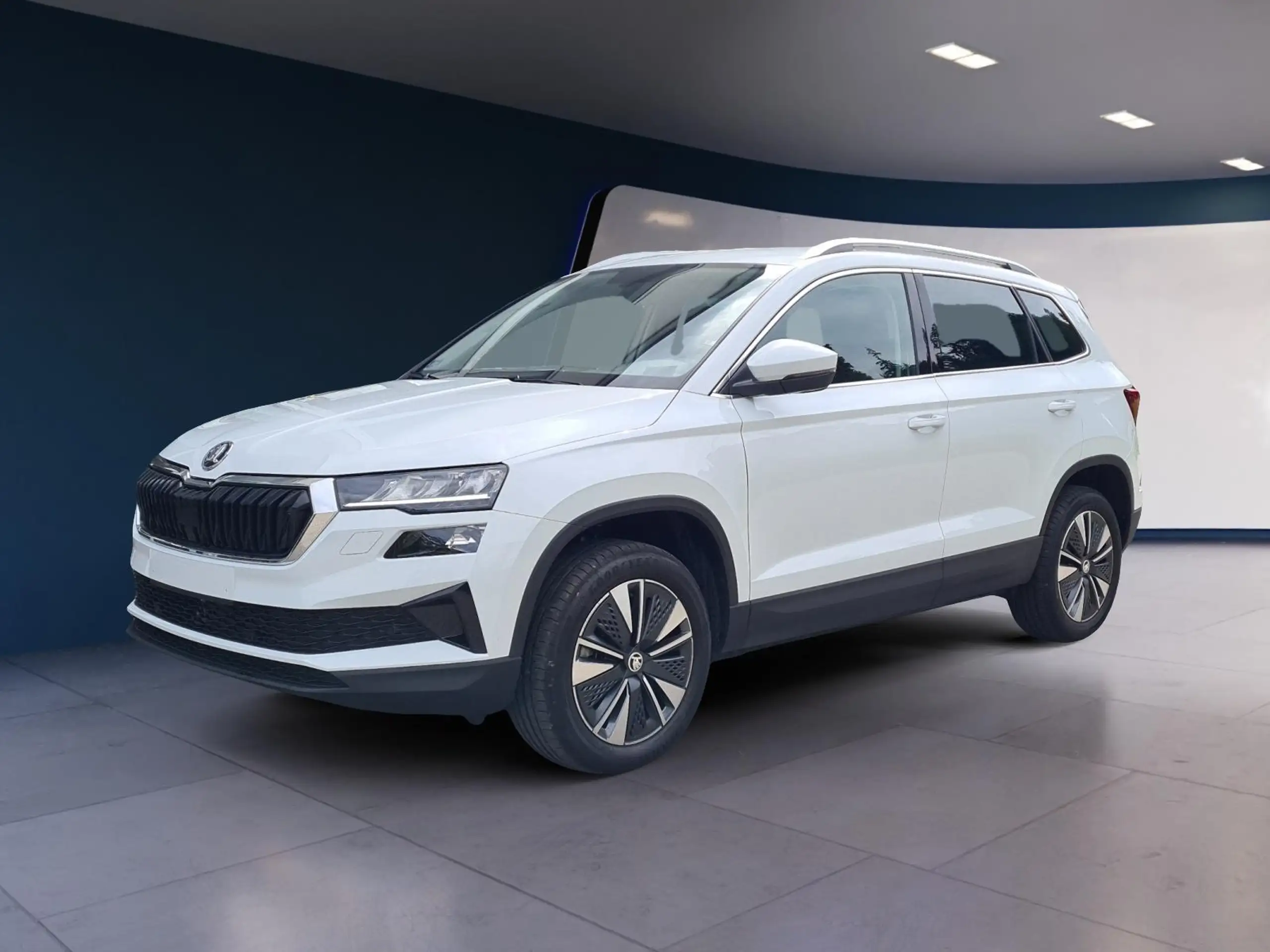 Skoda Karoq 2024