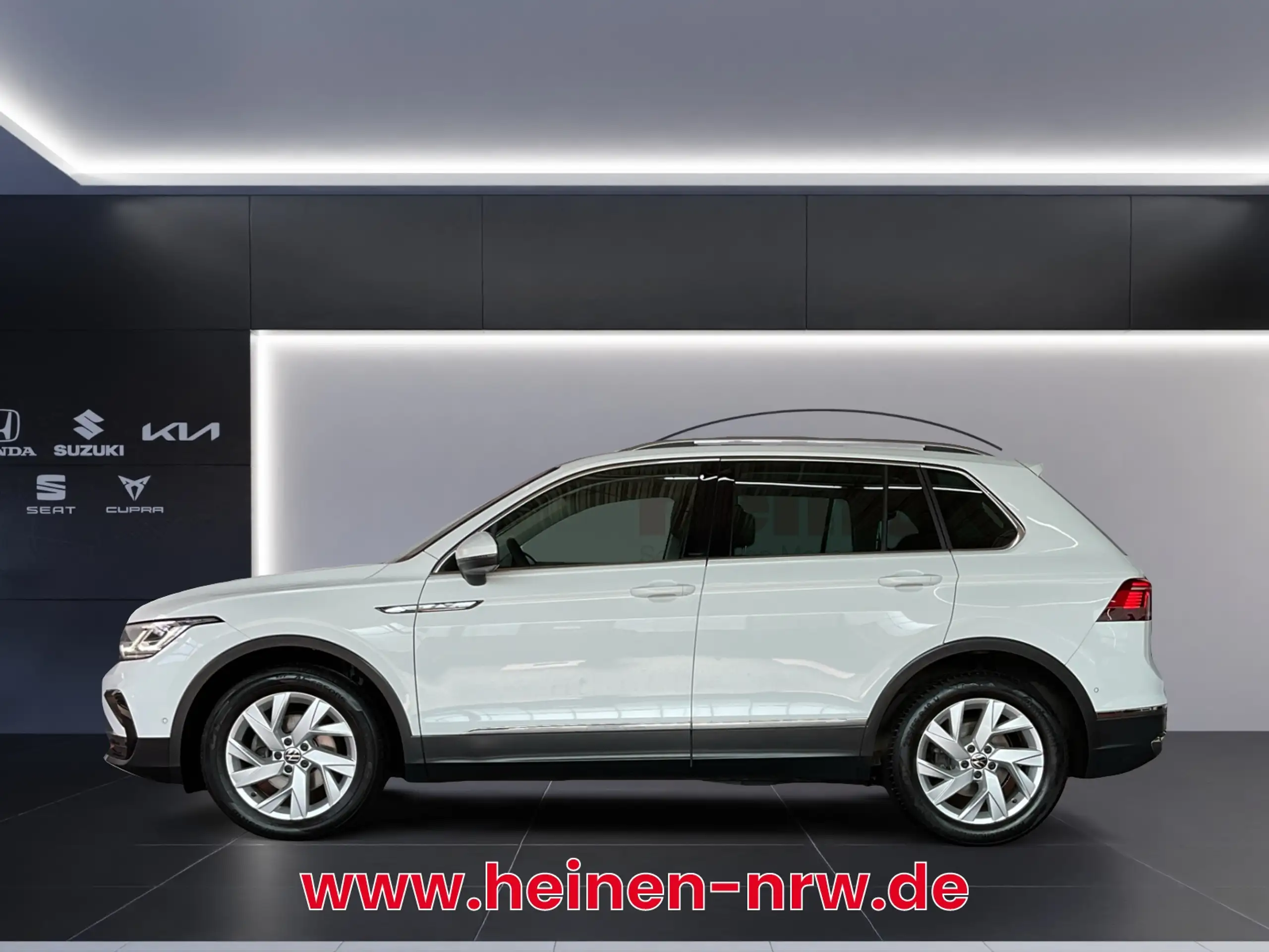 Volkswagen - Tiguan