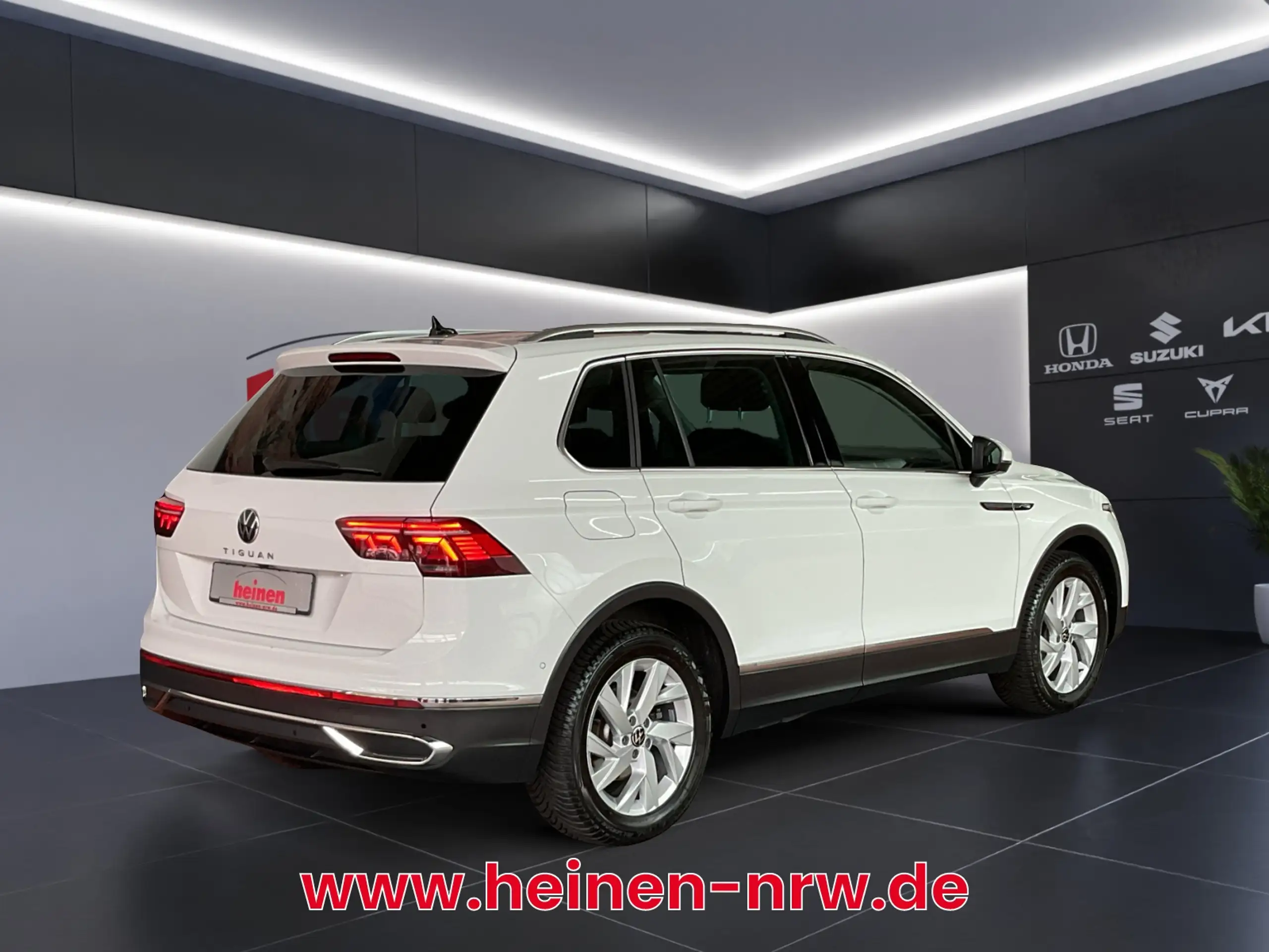 Volkswagen - Tiguan