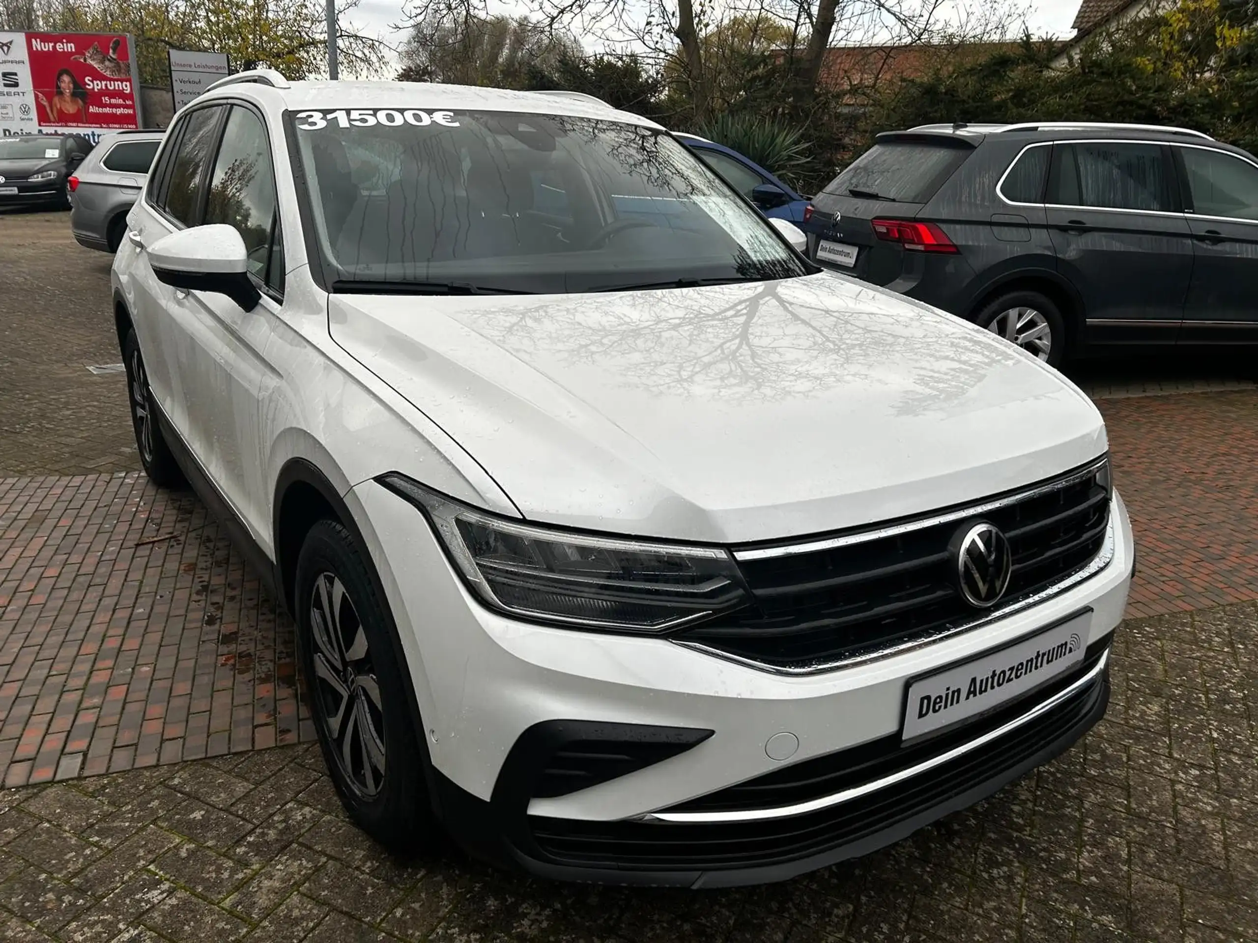 Volkswagen - Tiguan