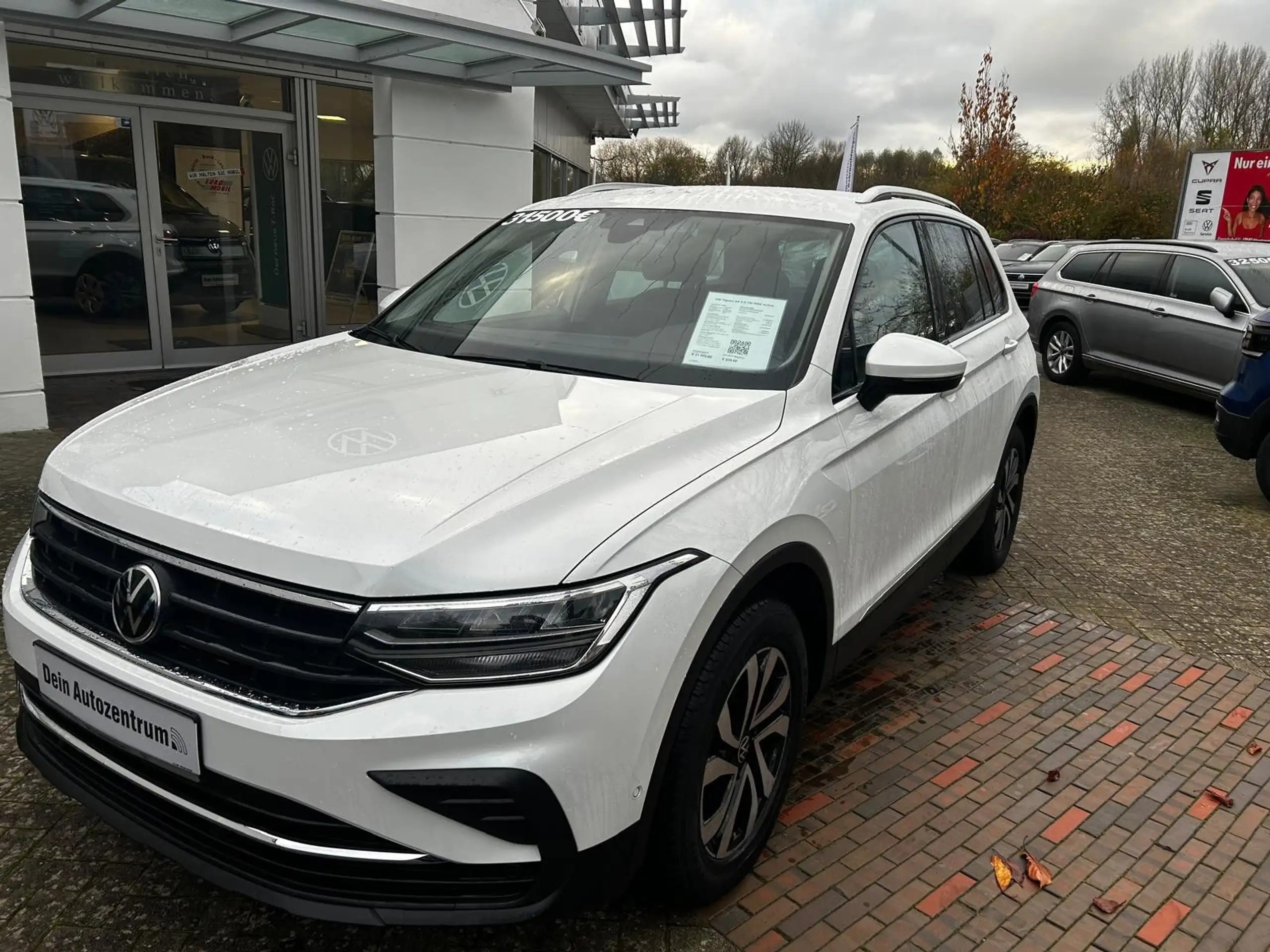 Volkswagen - Tiguan