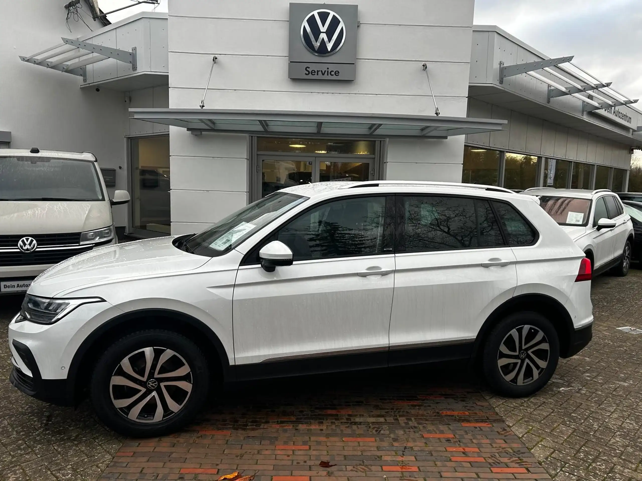 Volkswagen - Tiguan