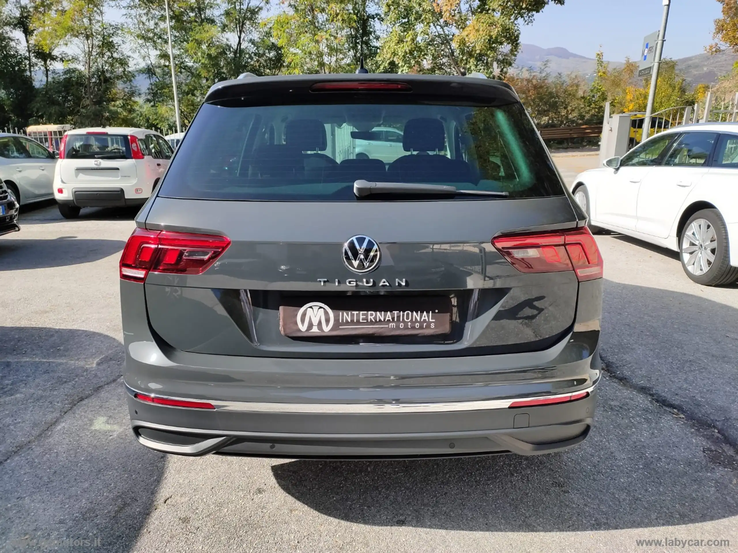 Volkswagen - Tiguan