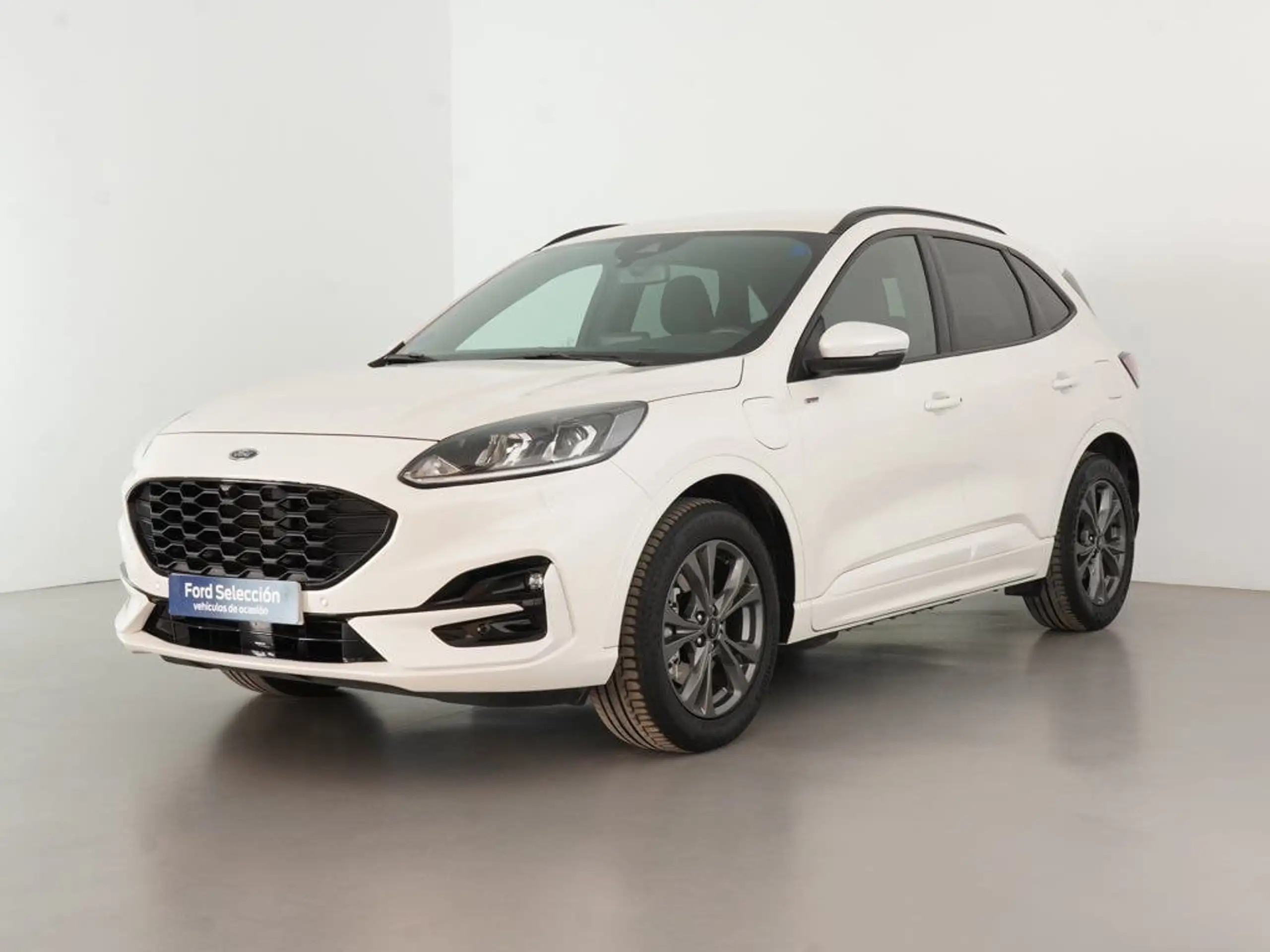 Ford - Kuga