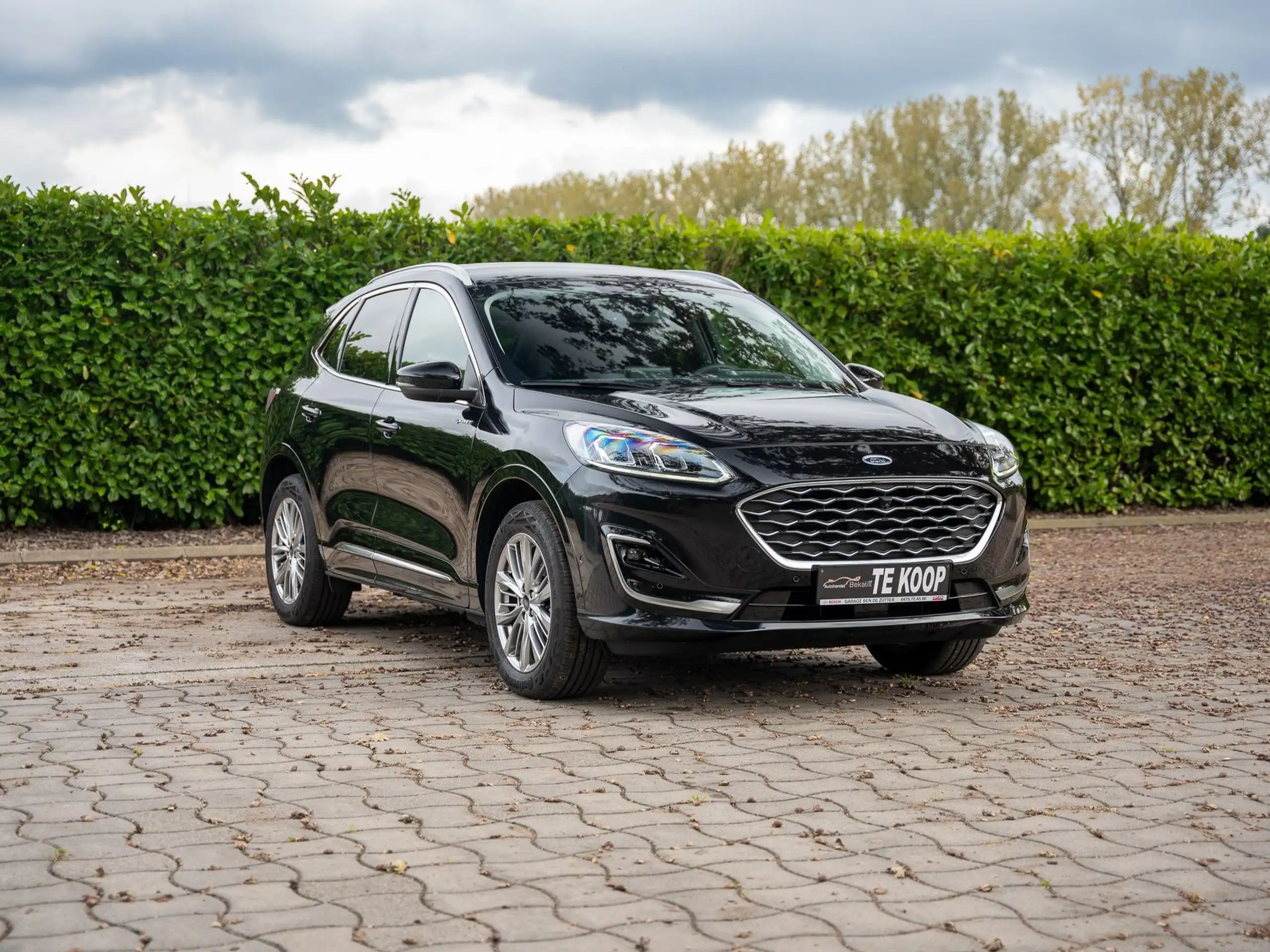 Ford - Kuga