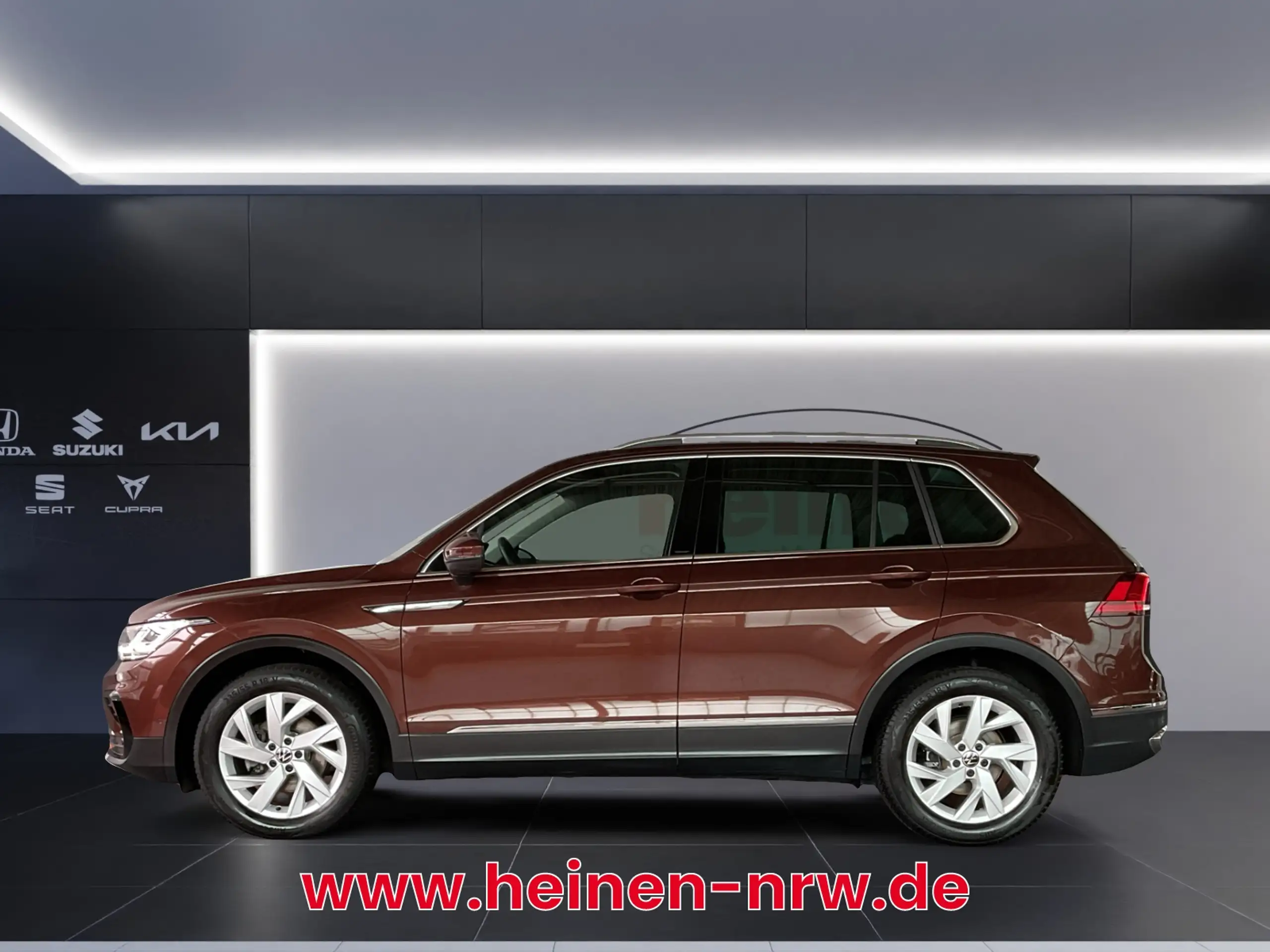 Volkswagen - Tiguan