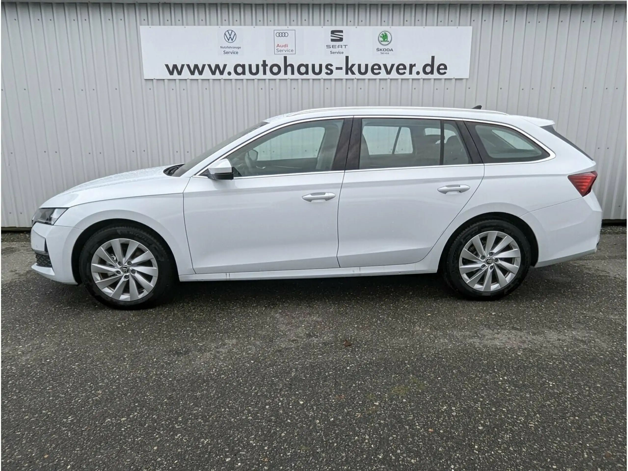 Skoda - Octavia