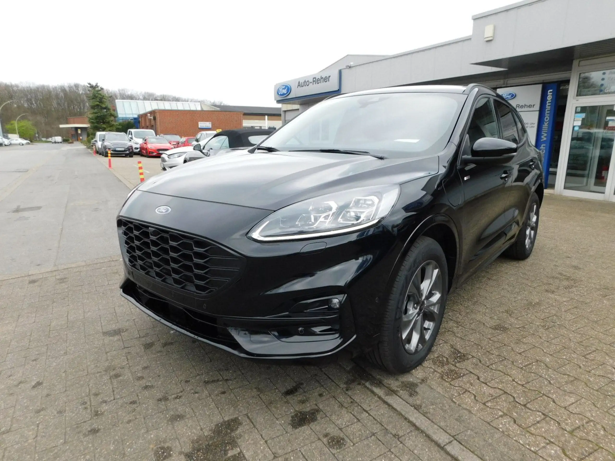 Ford - Kuga