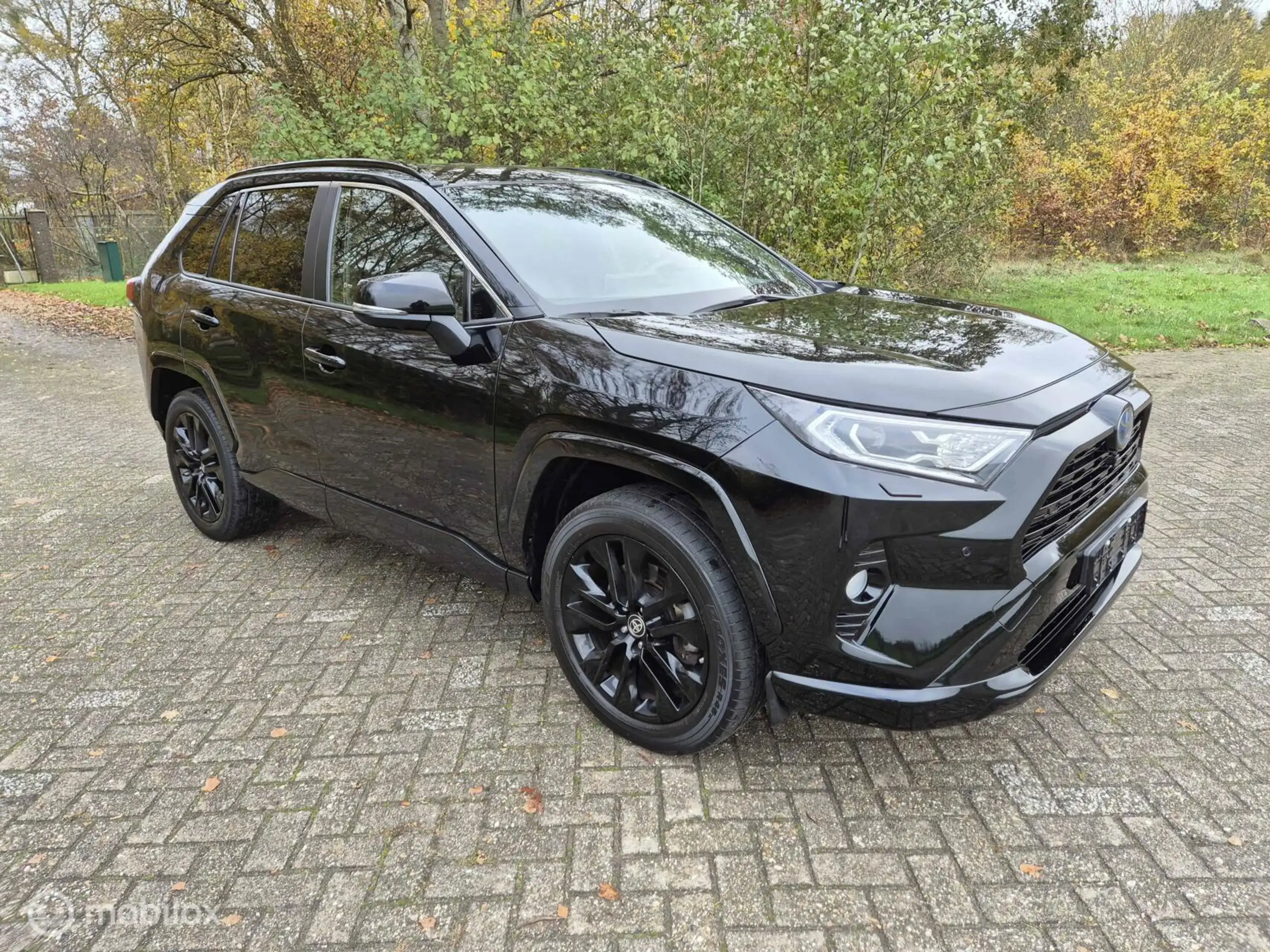 Toyota - RAV 4