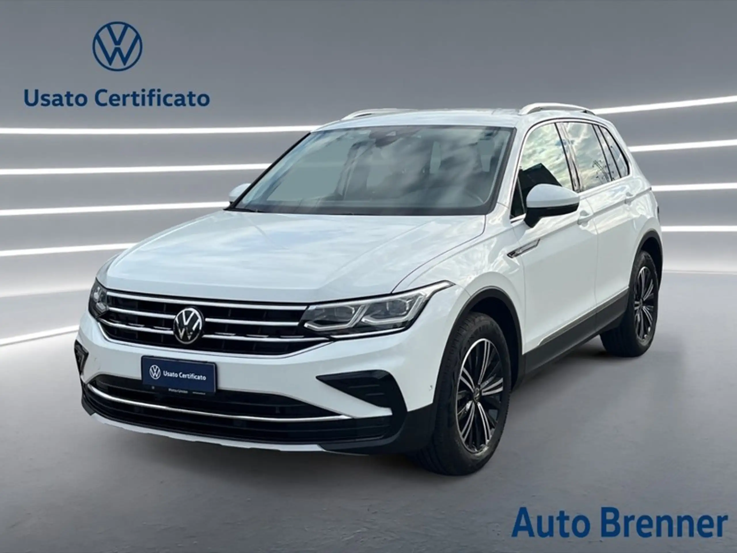 Volkswagen - Tiguan