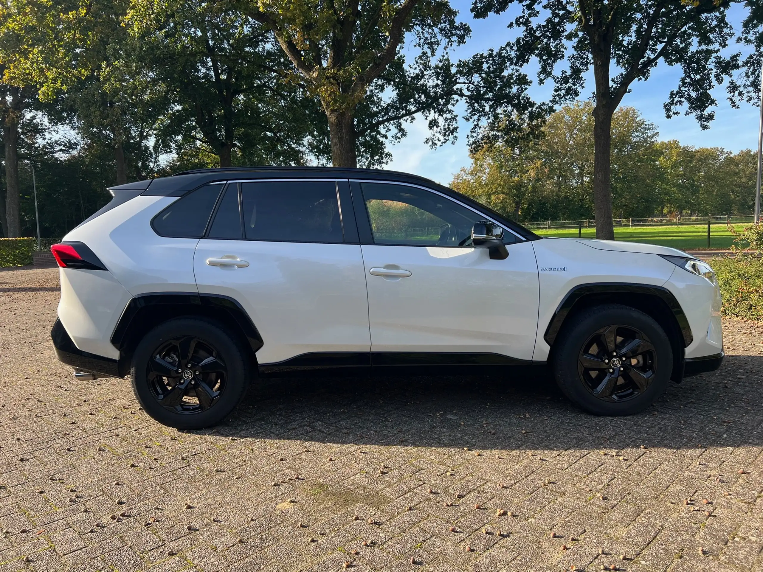 Toyota - RAV 4