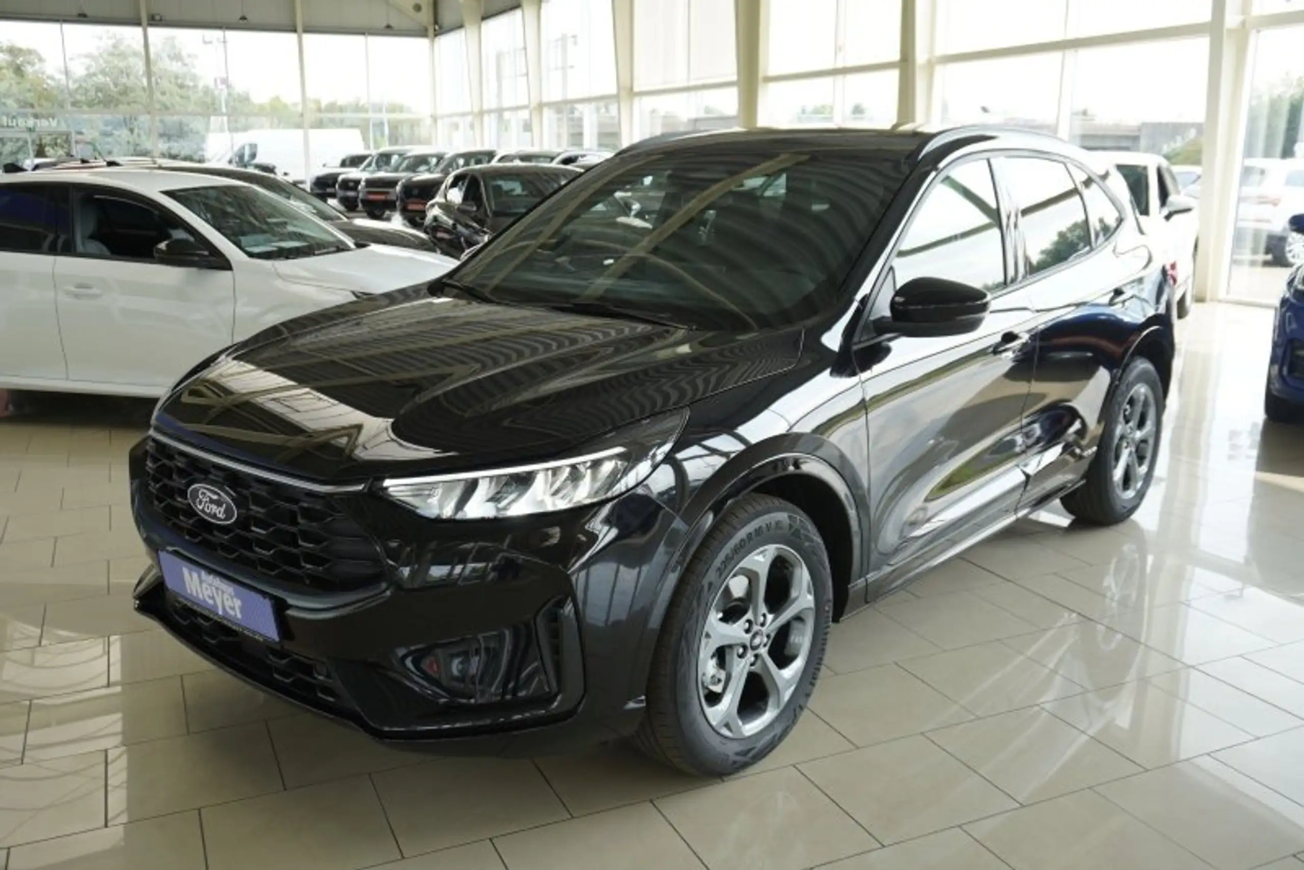 Ford - Kuga