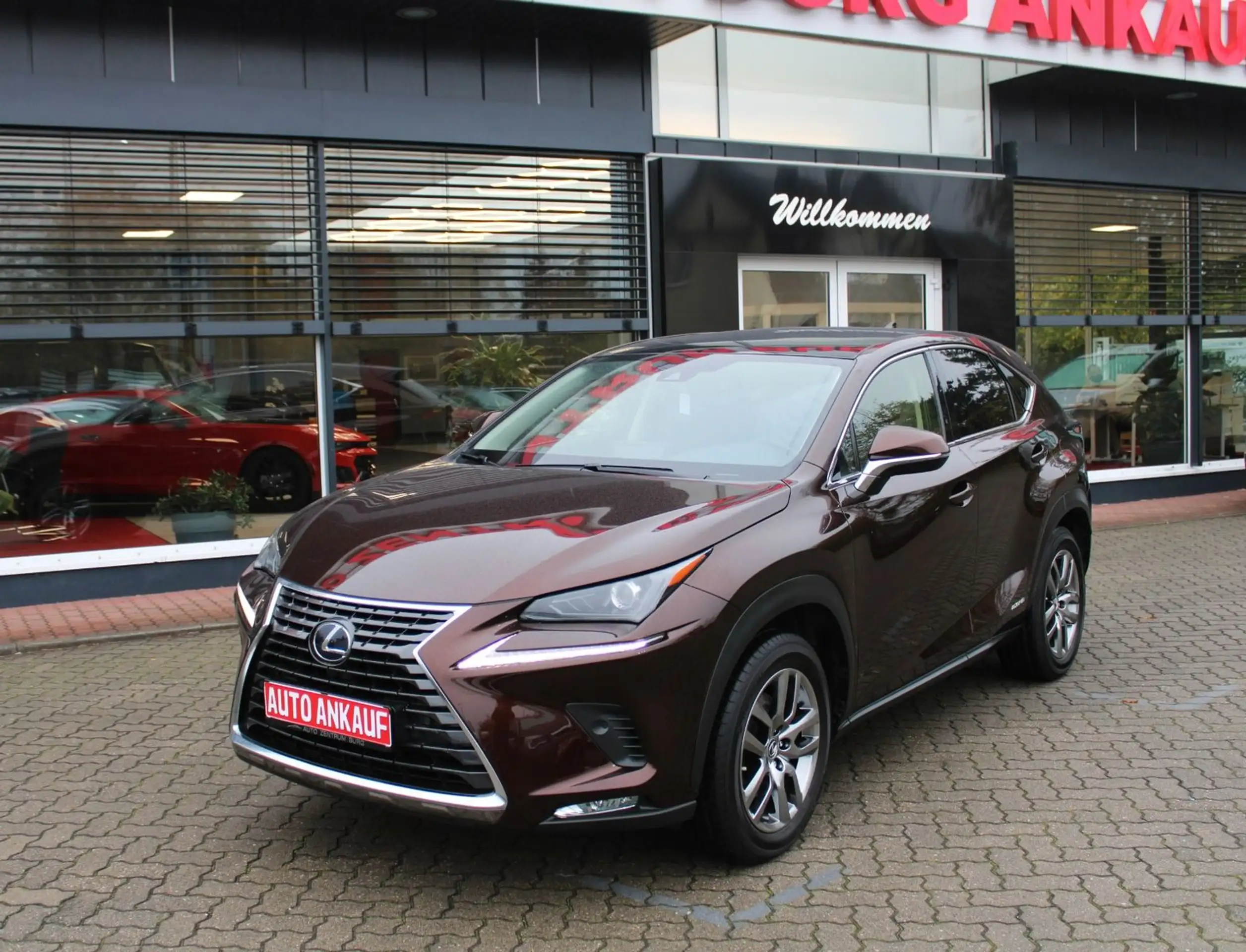 Lexus - NX 300