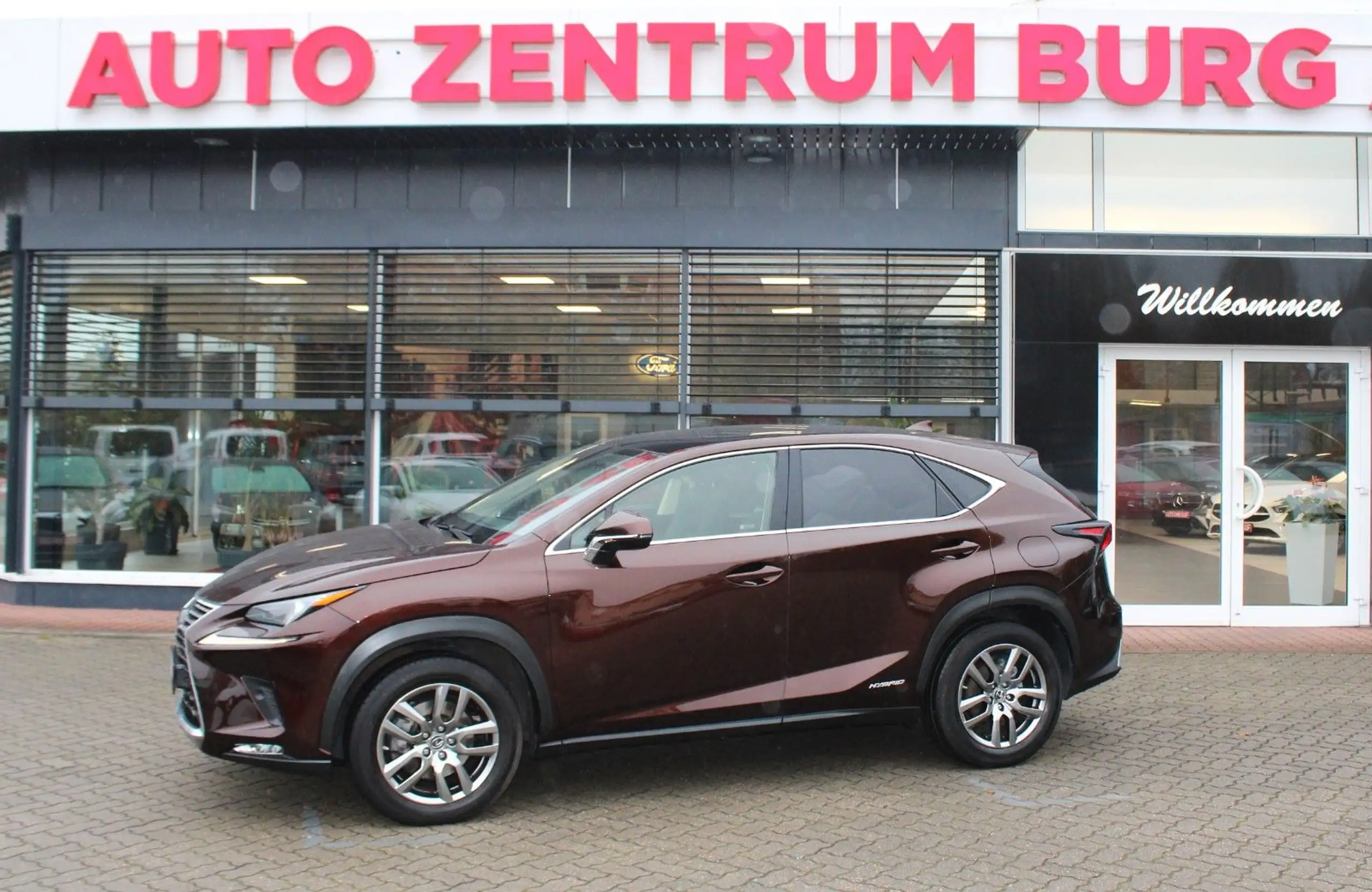 Lexus - NX 300