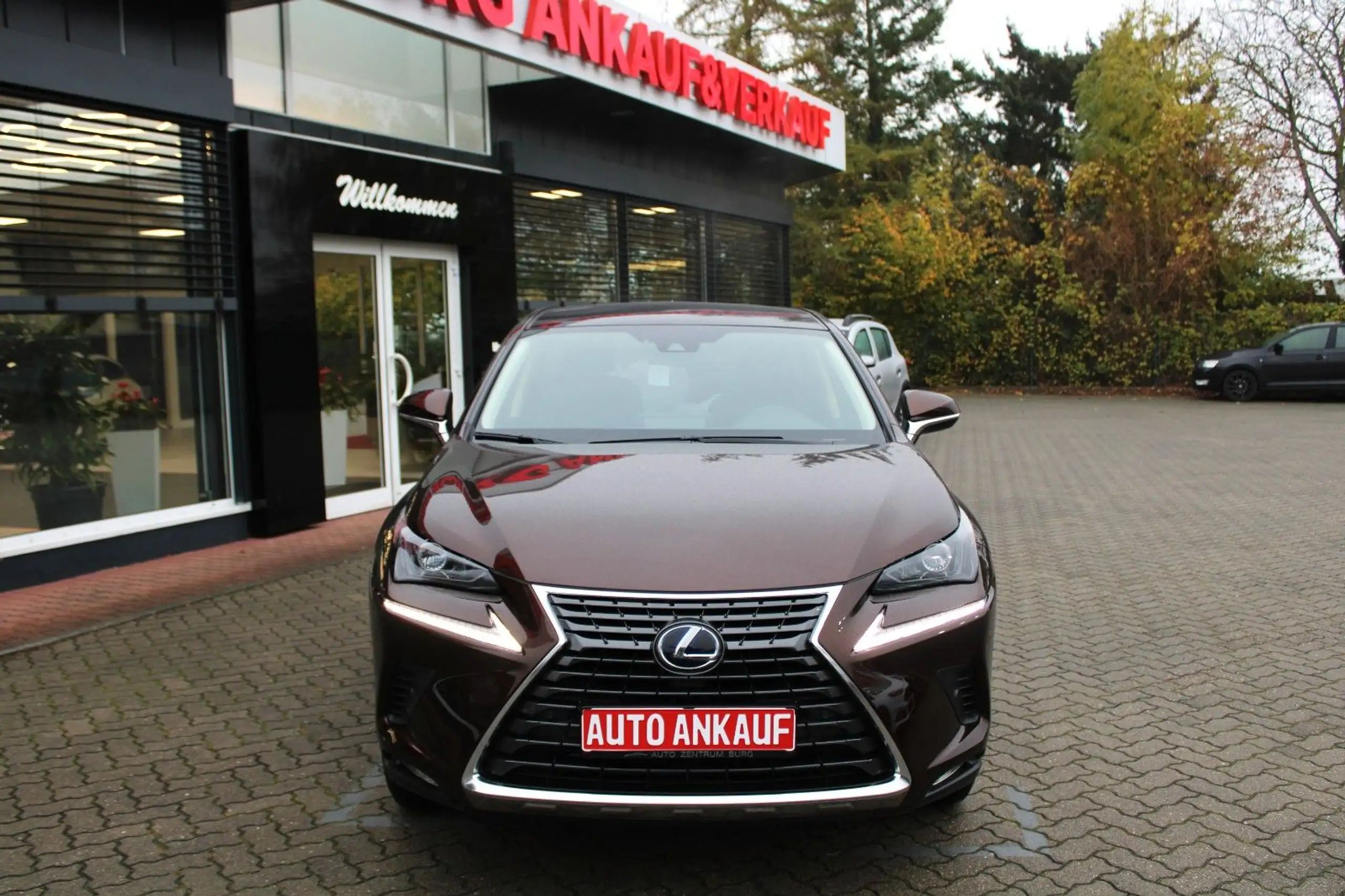 Lexus - NX 300