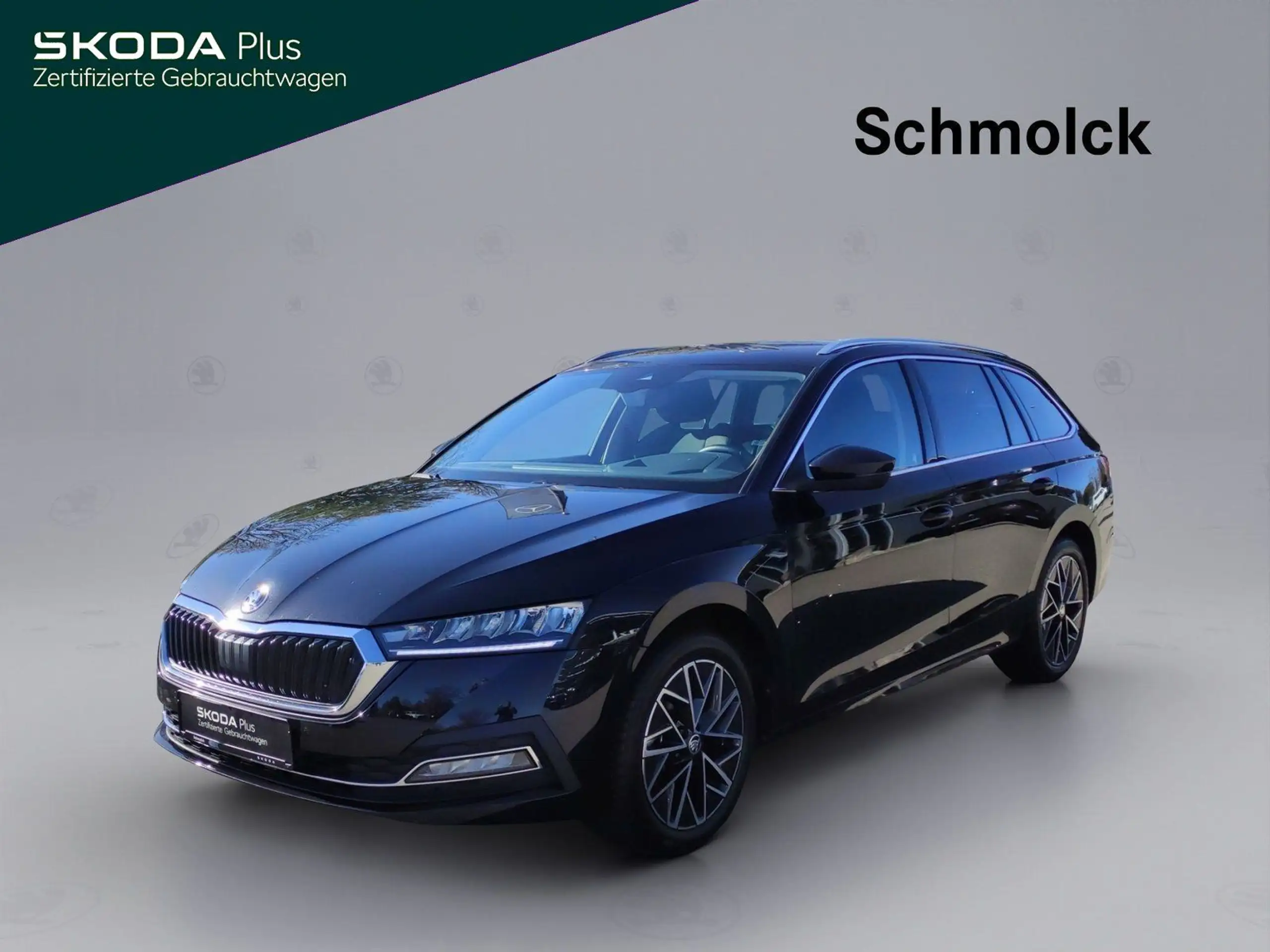 Skoda - Octavia