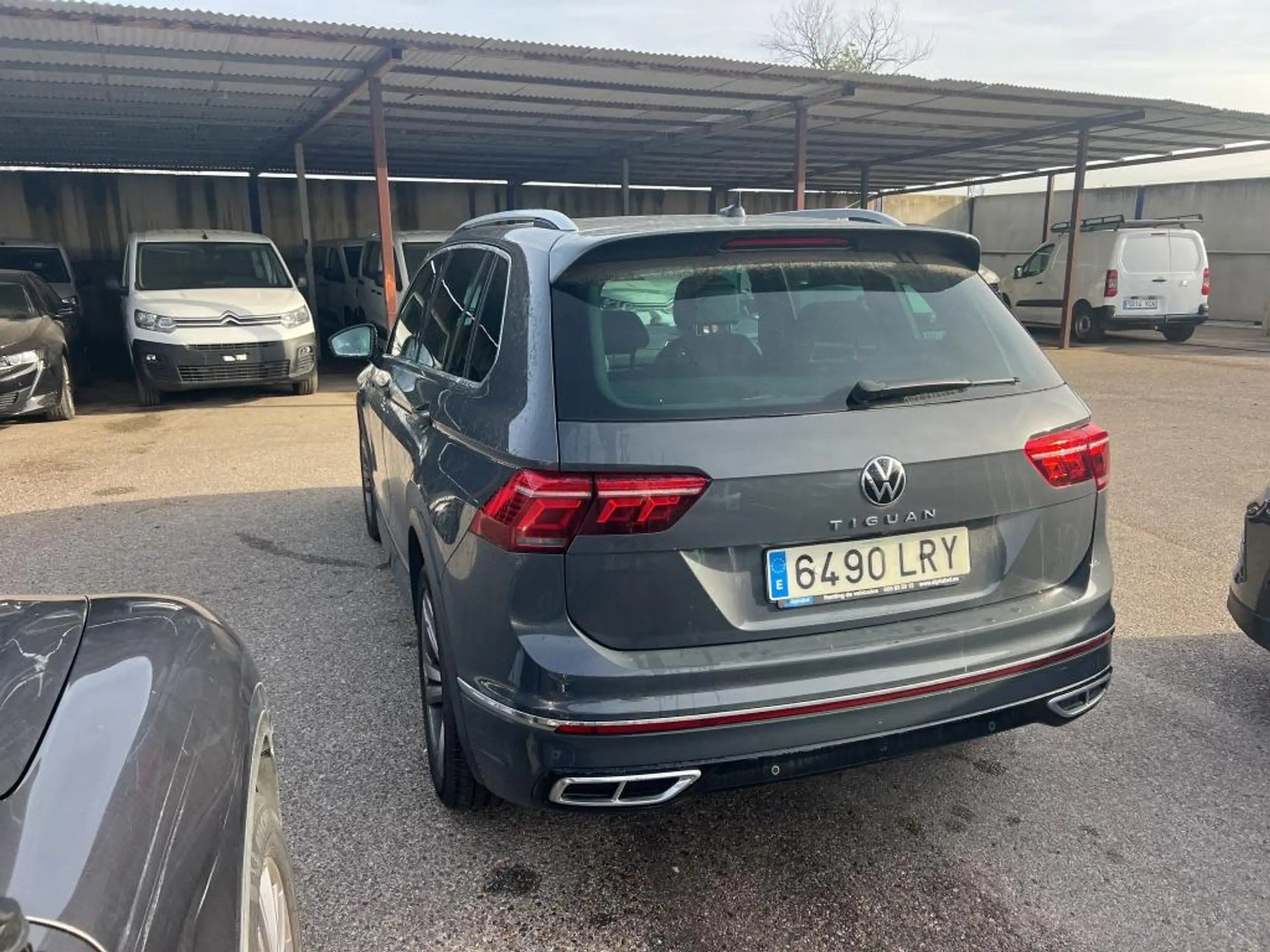 Volkswagen - Tiguan