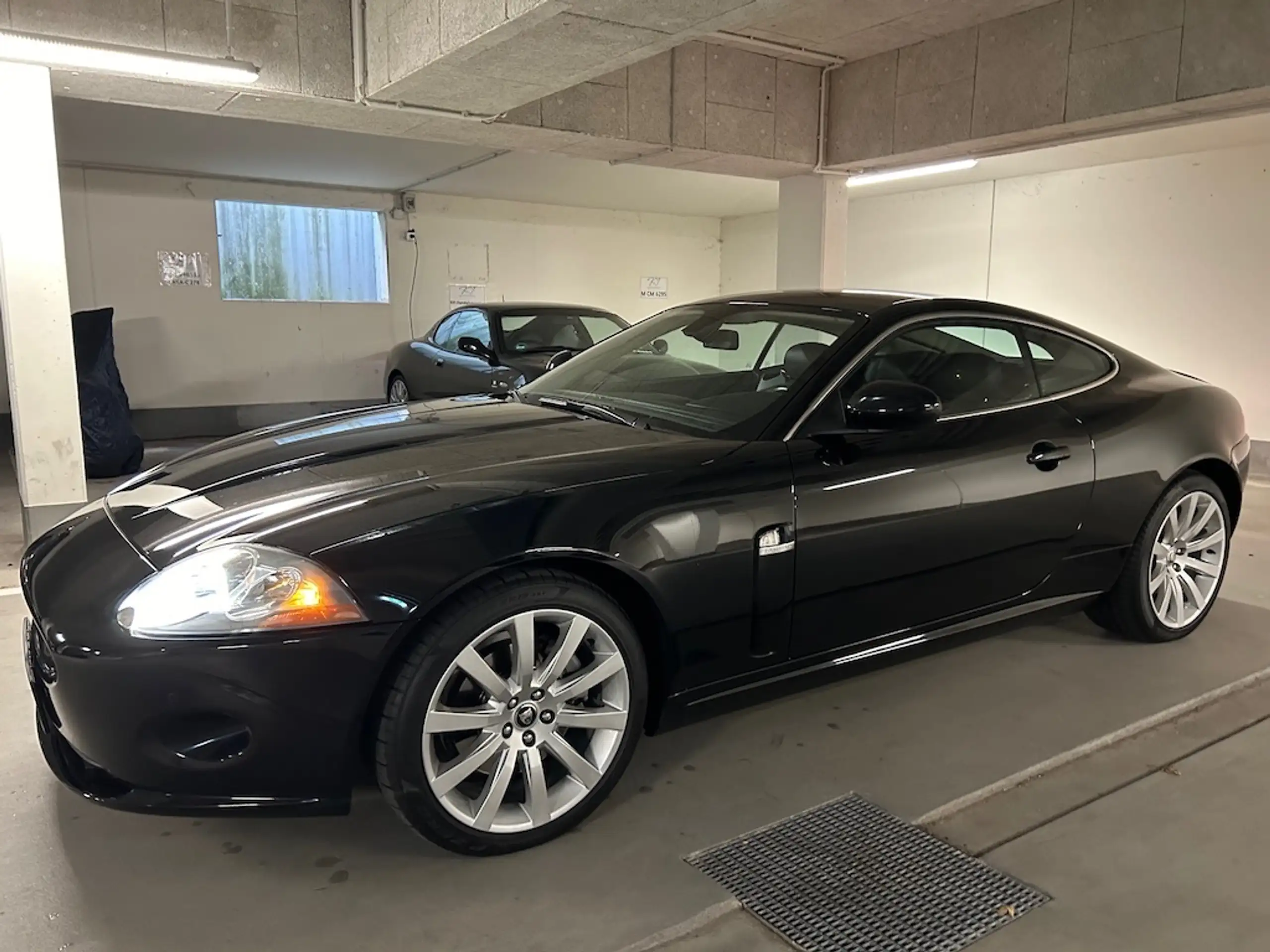 Jaguar - XK