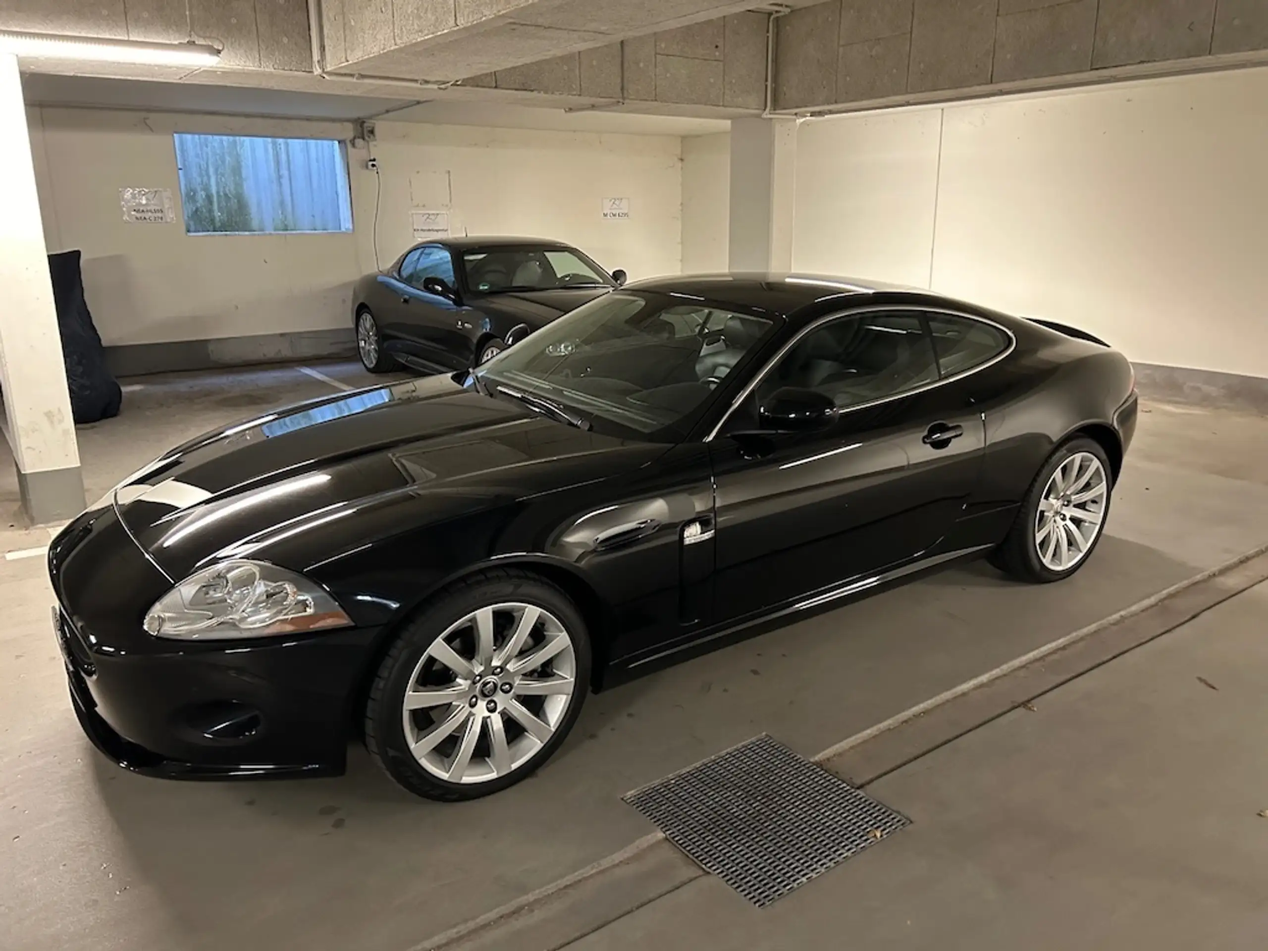 Jaguar - XK