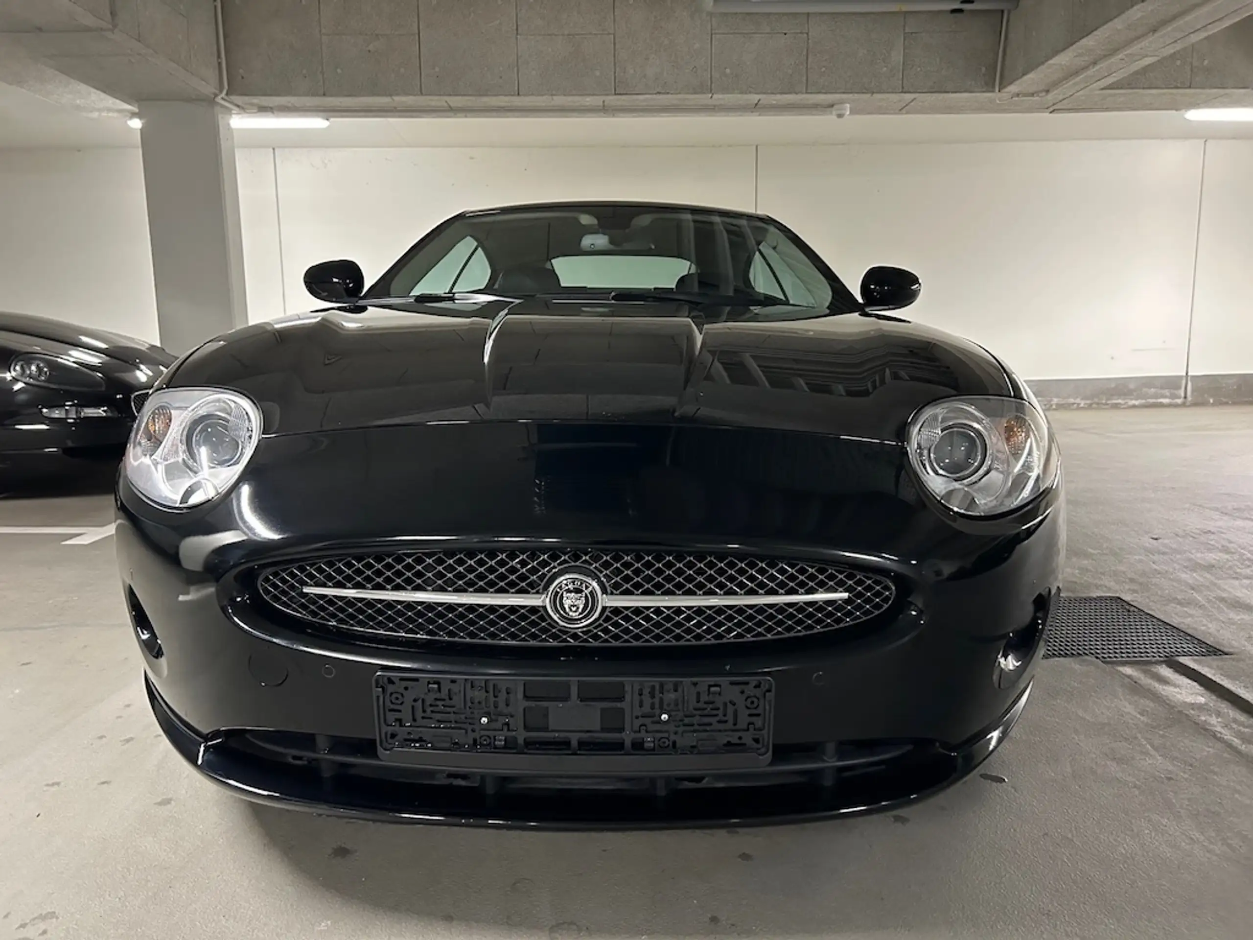 Jaguar - XK