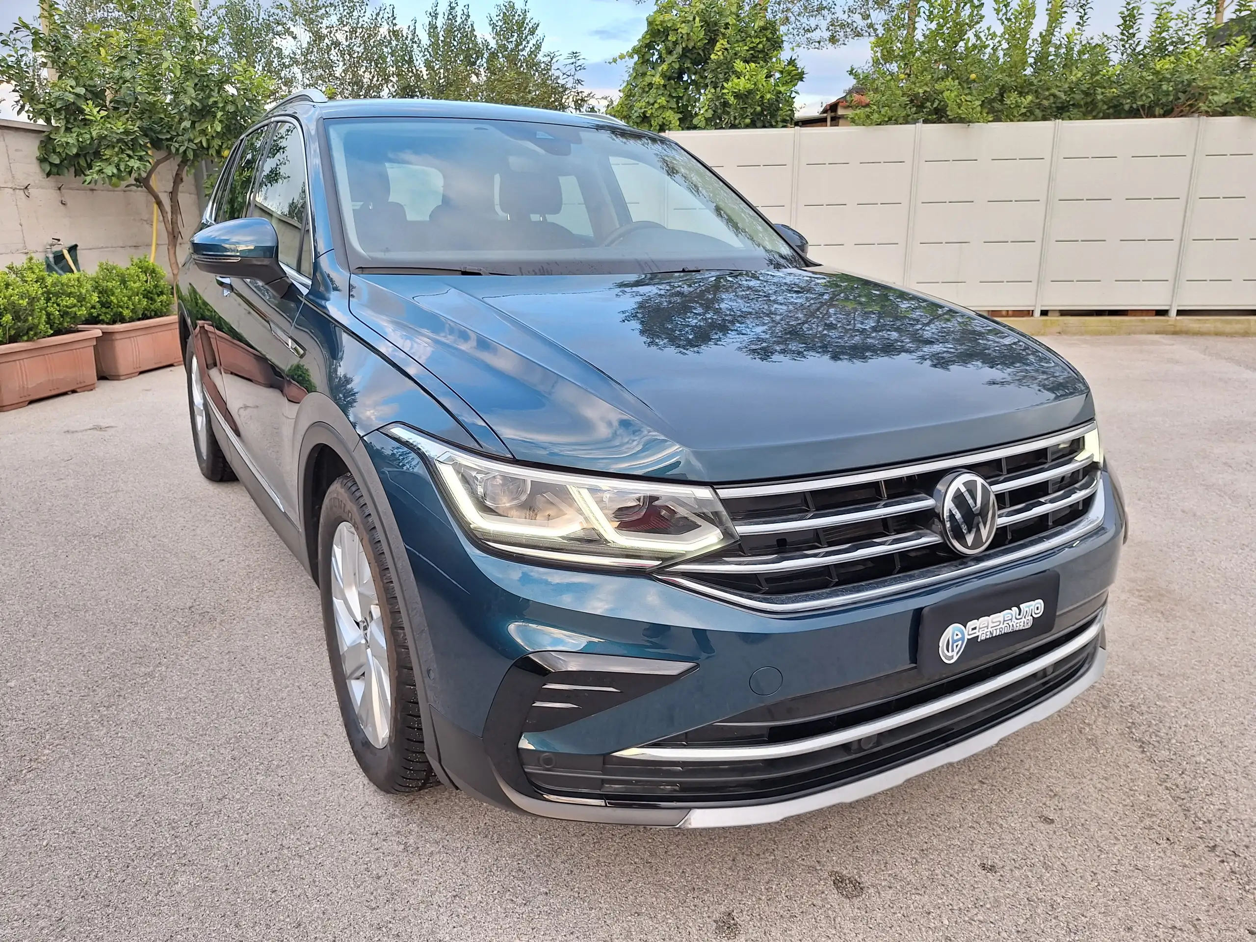 Volkswagen - Tiguan