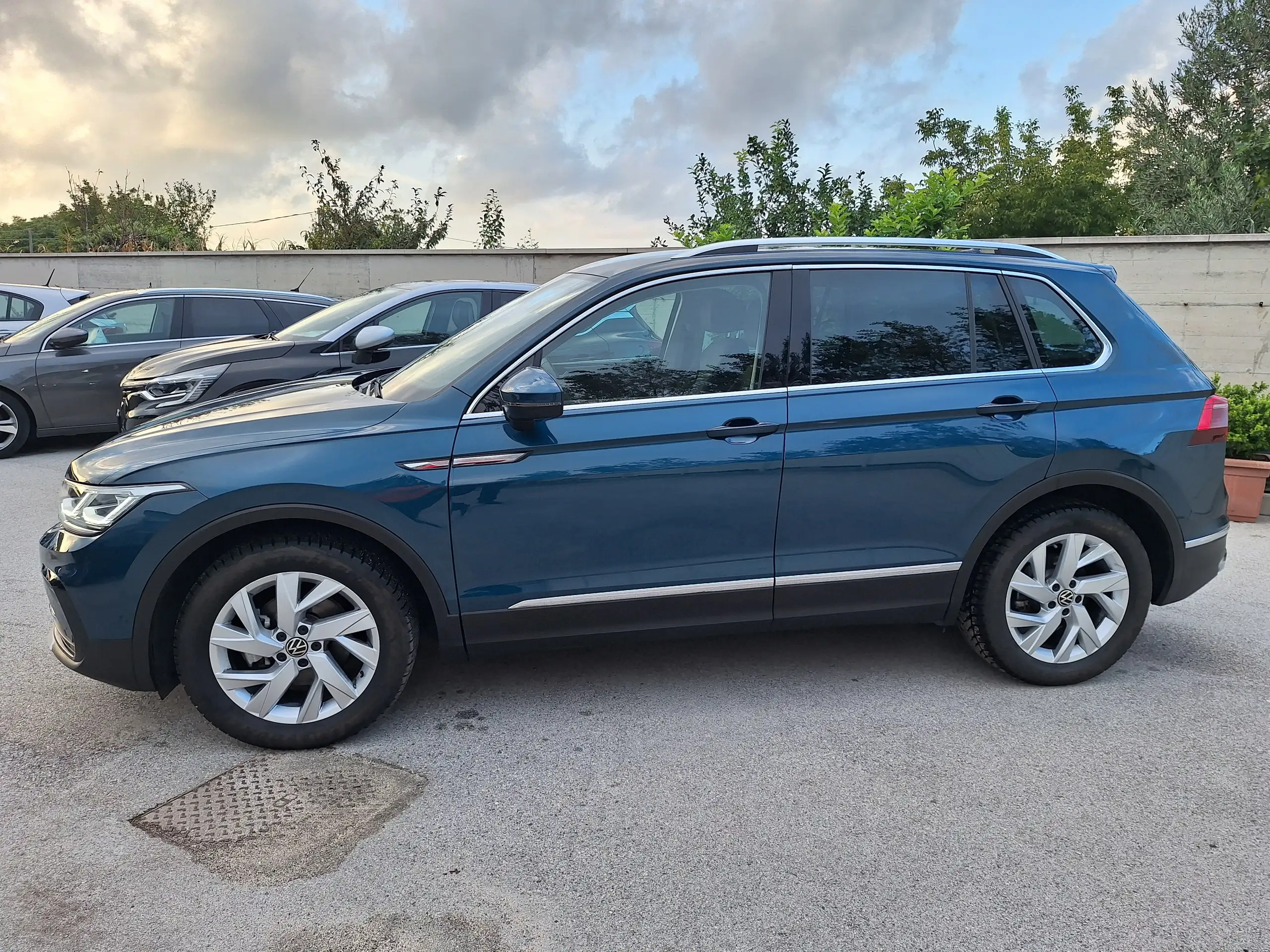 Volkswagen - Tiguan