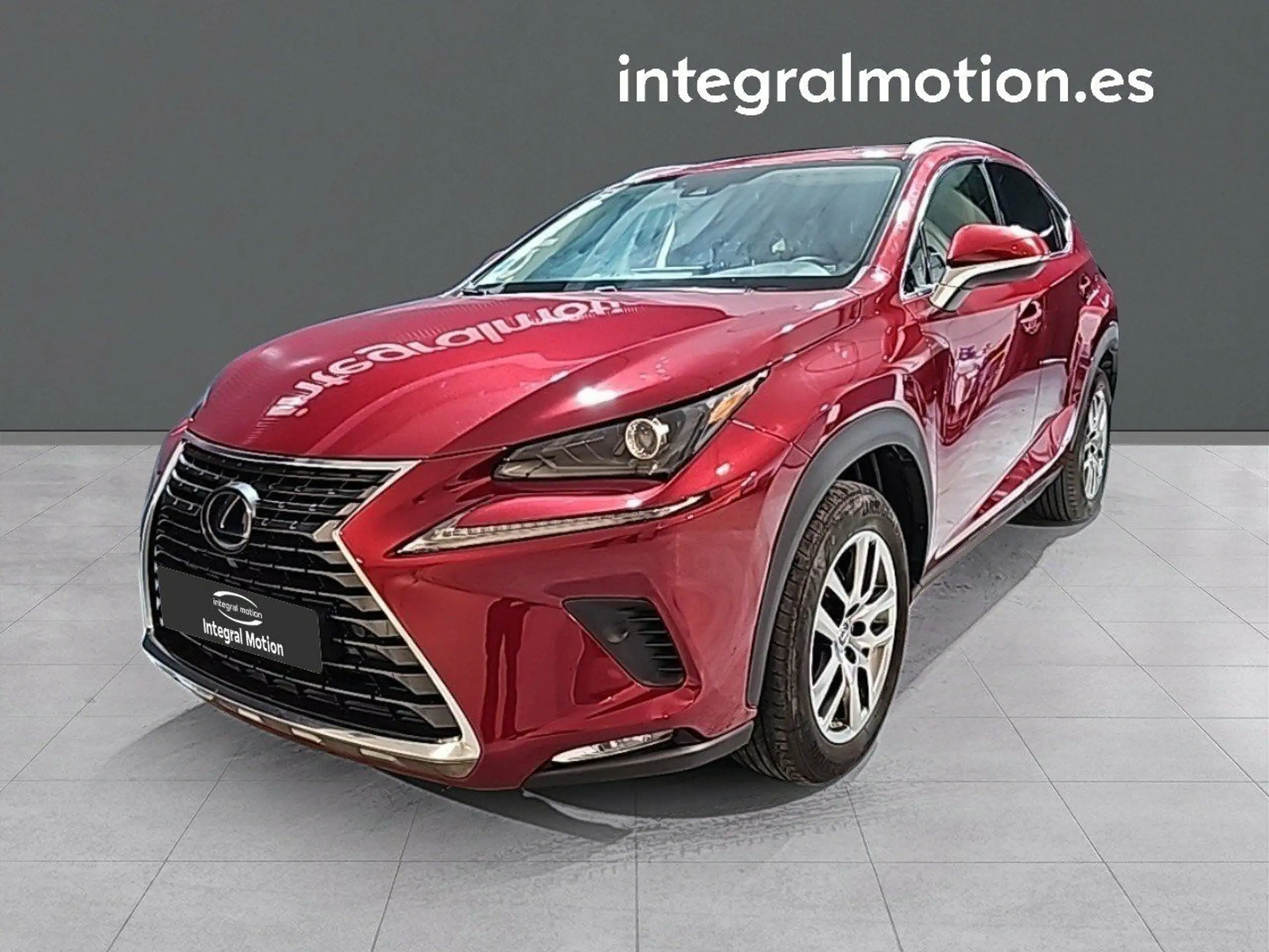 Lexus - NX 300h