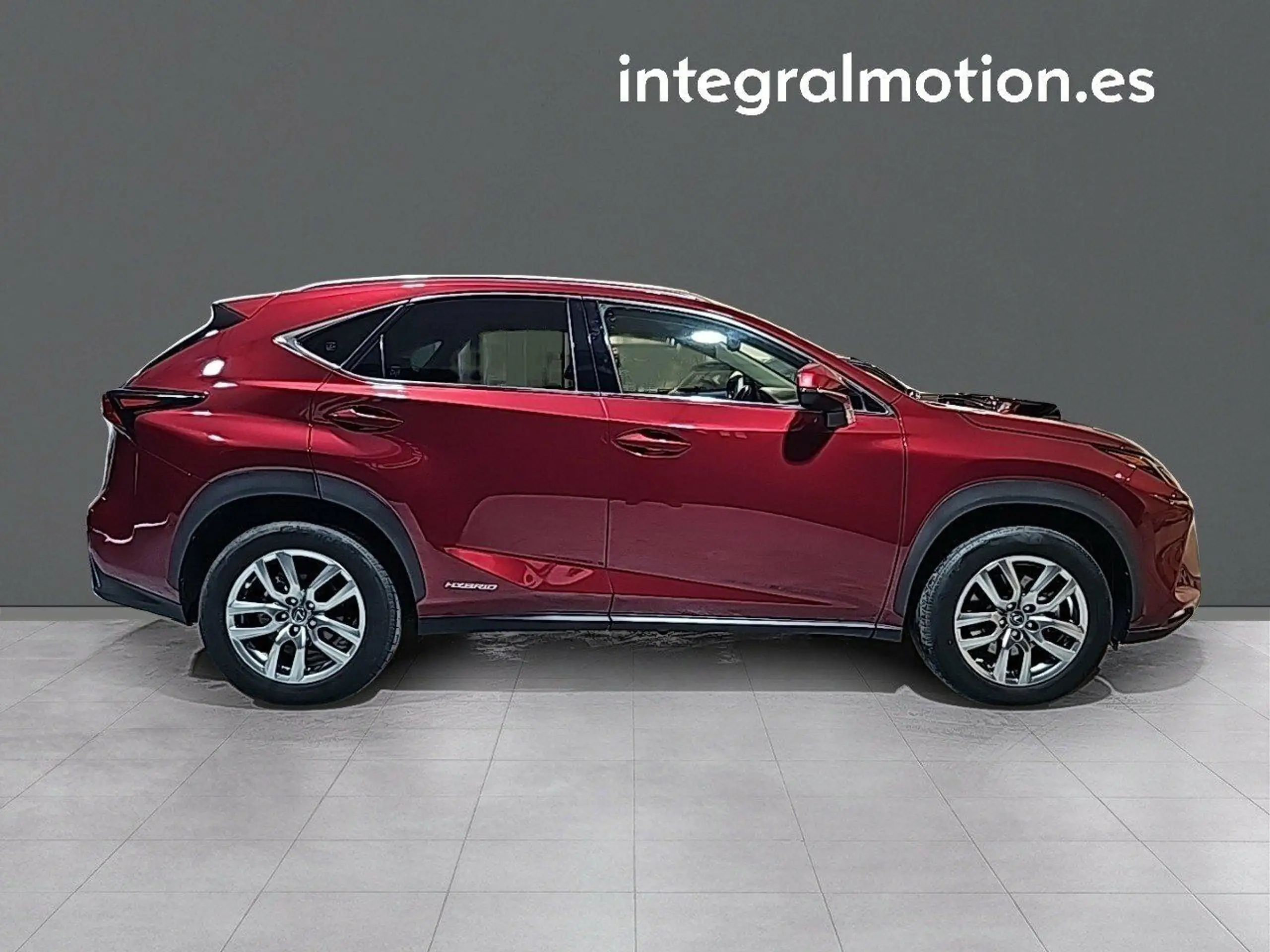 Lexus - NX 300h