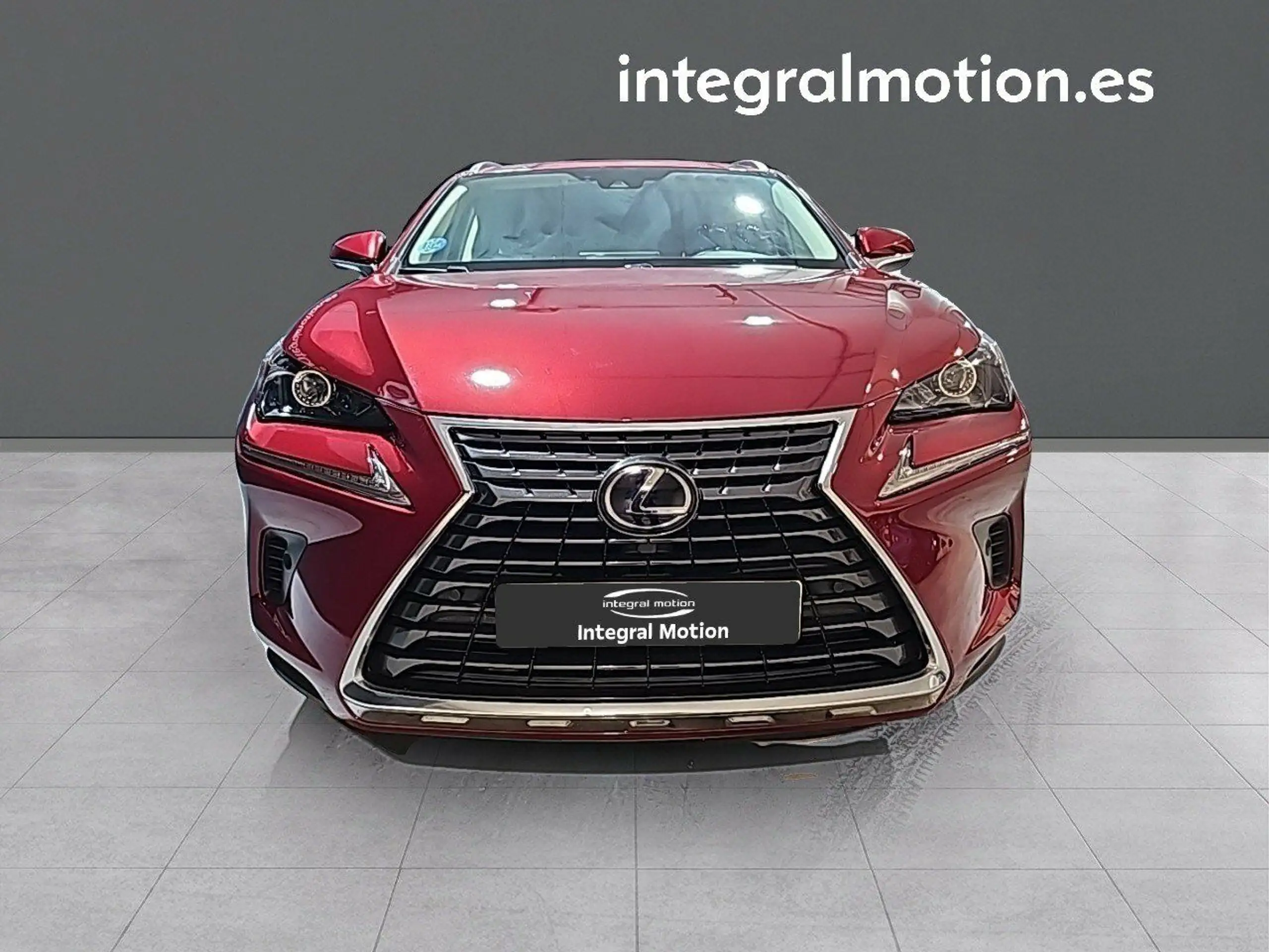 Lexus - NX 300h