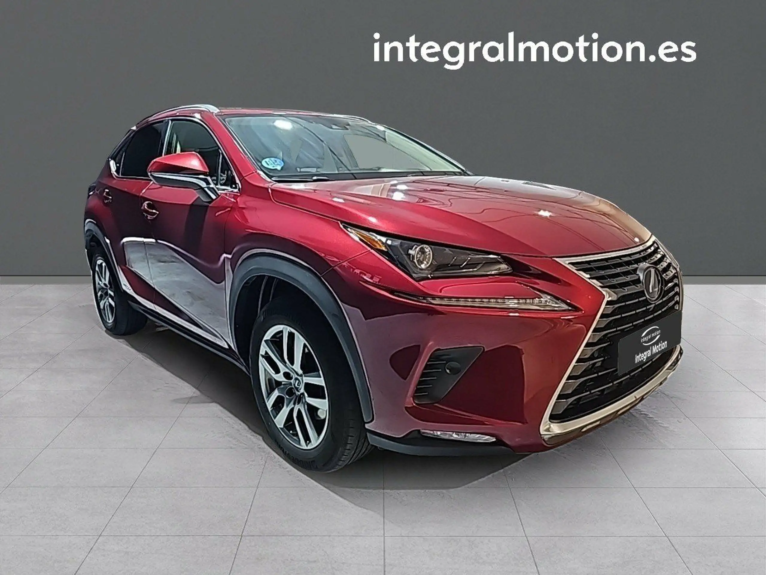 Lexus - NX 300h