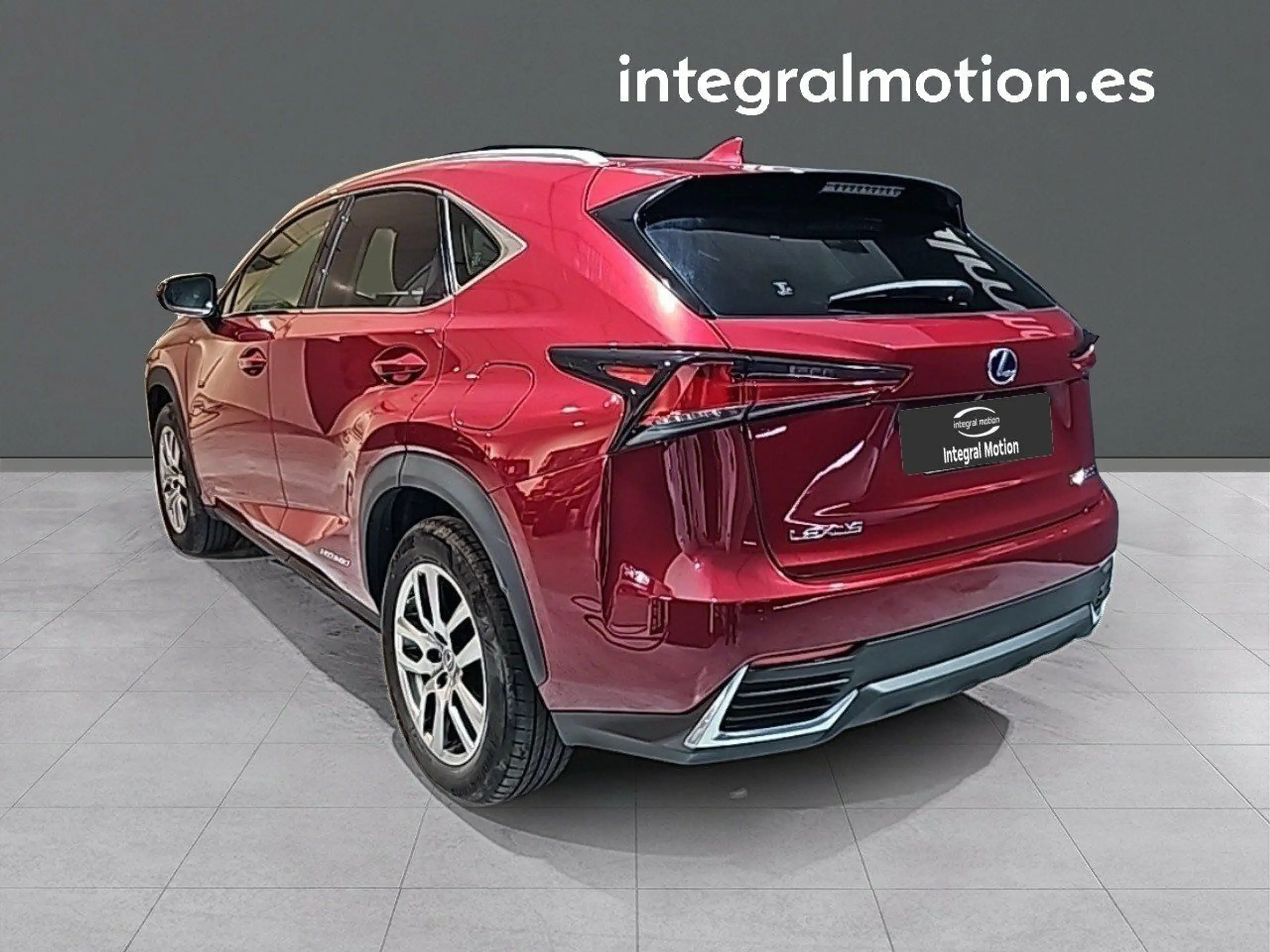 Lexus - NX 300h