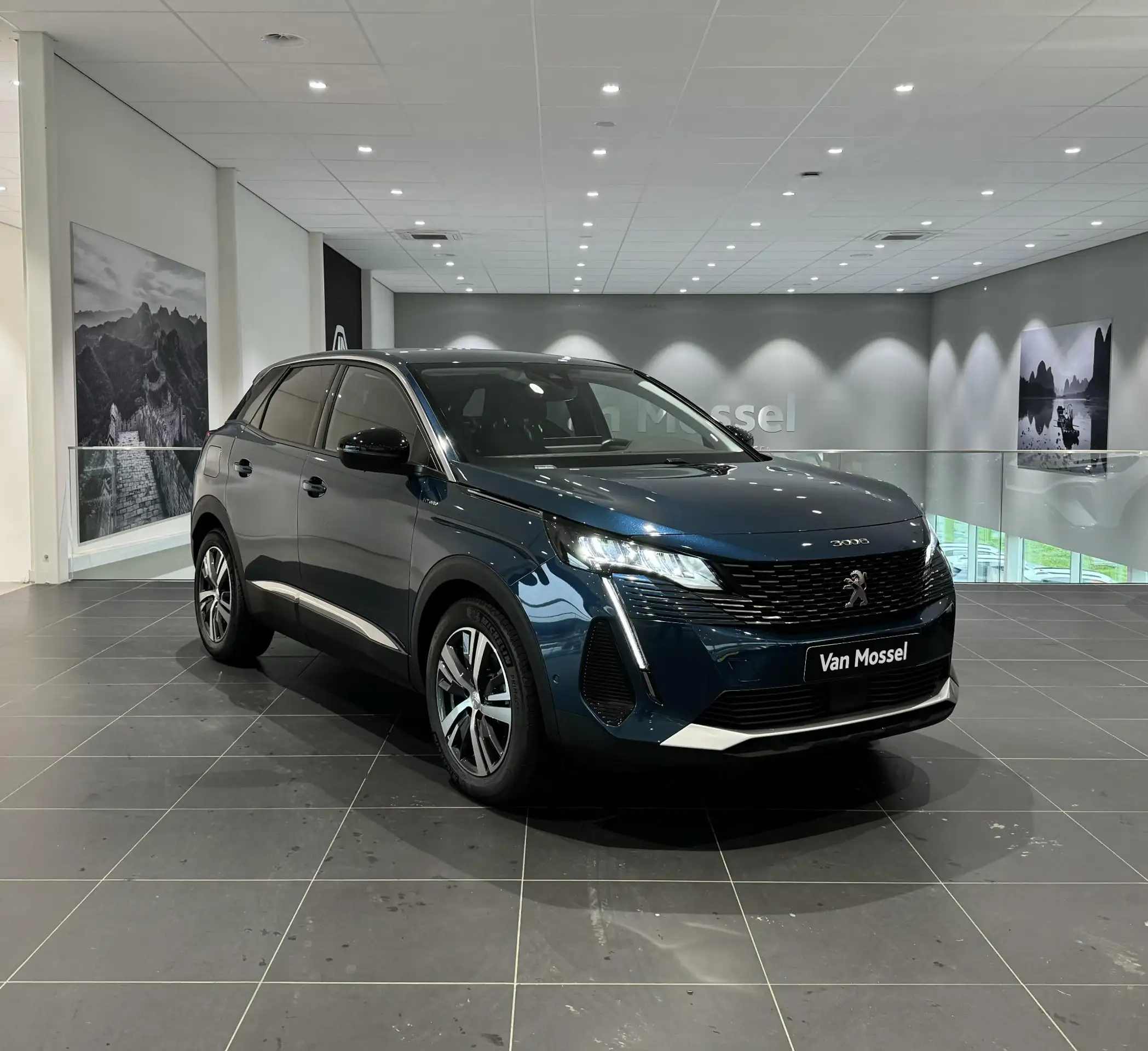 Peugeot - 3008