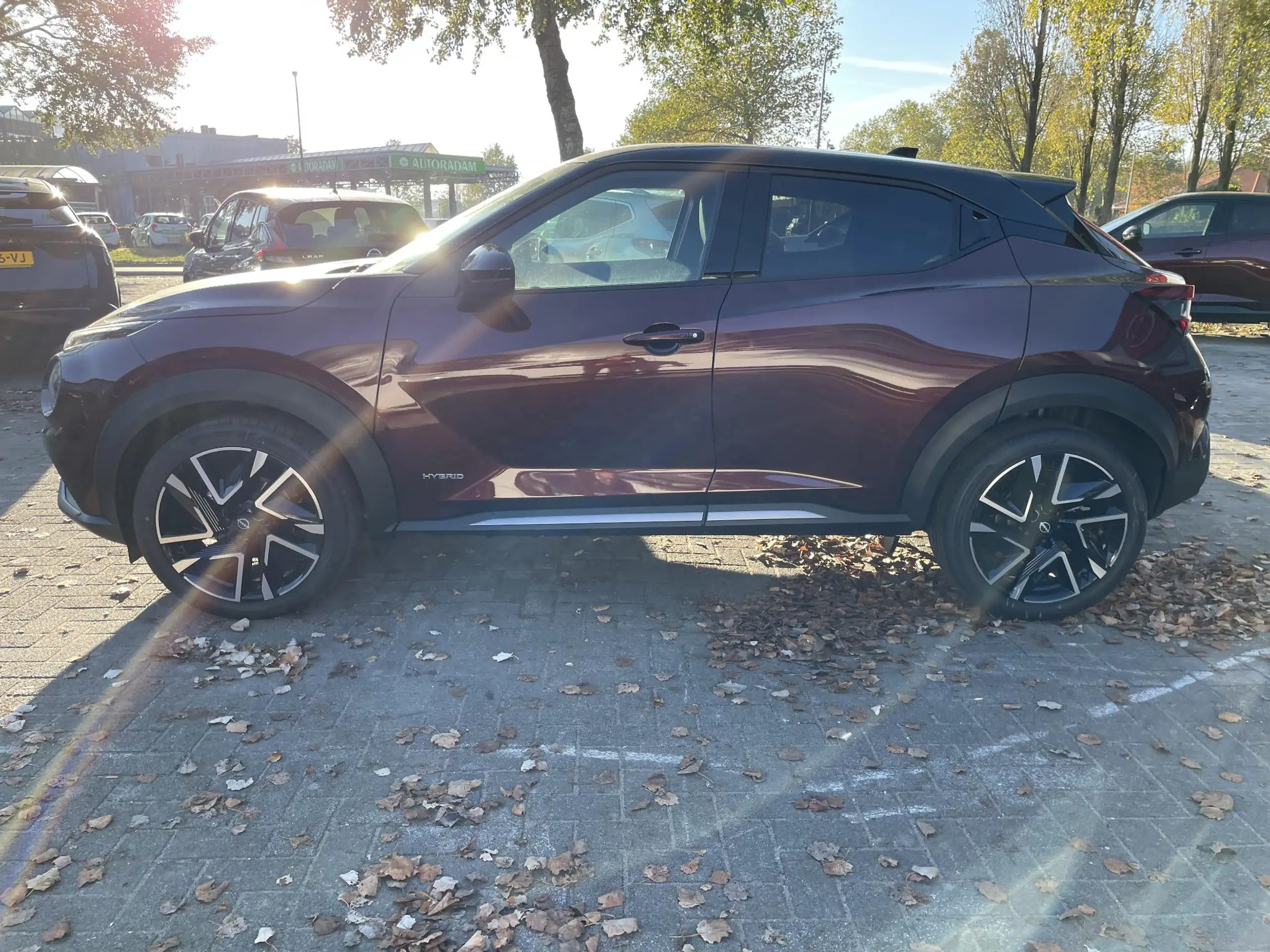 Nissan - Juke