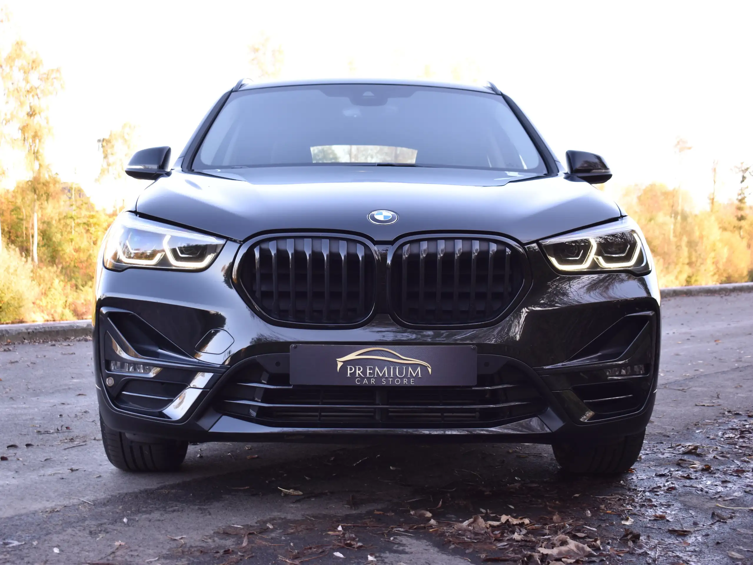 BMW - X1